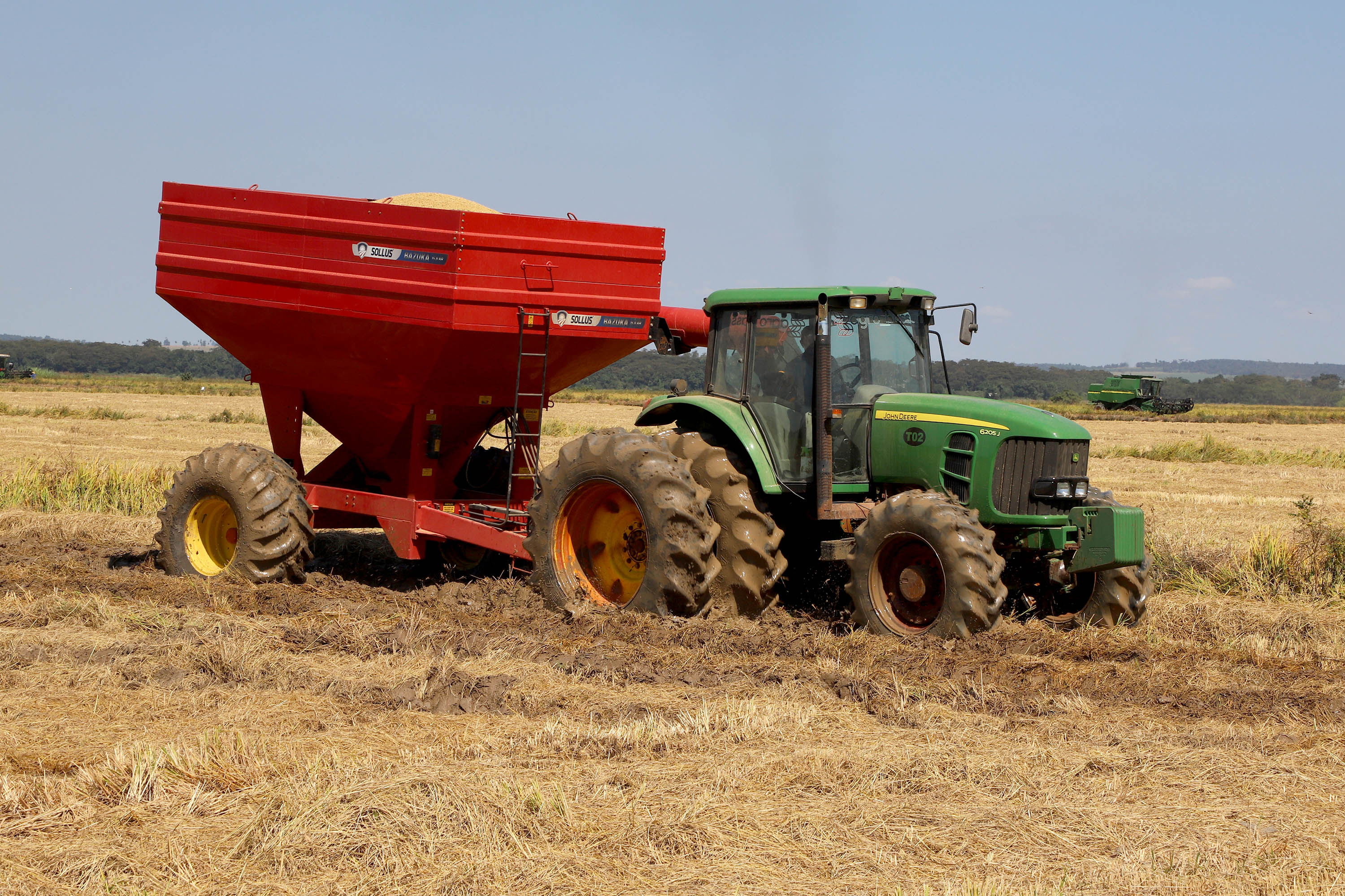 Fazenda Bassani em Santa Isabel do Ivaí. Foto: Ari Dias/AEN