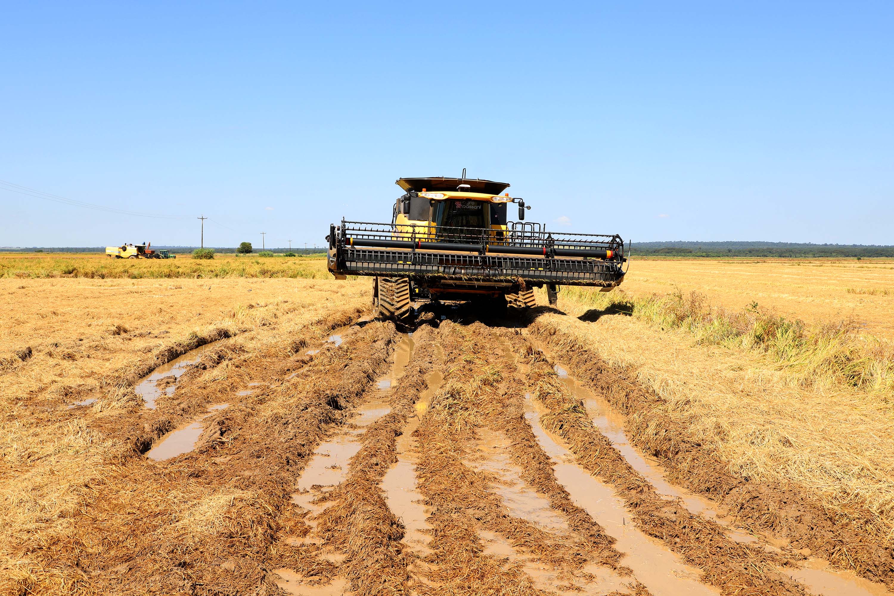 Fazenda Bassani em Santa Isabel do Ivaí. Foto: Ari Dias/AEN