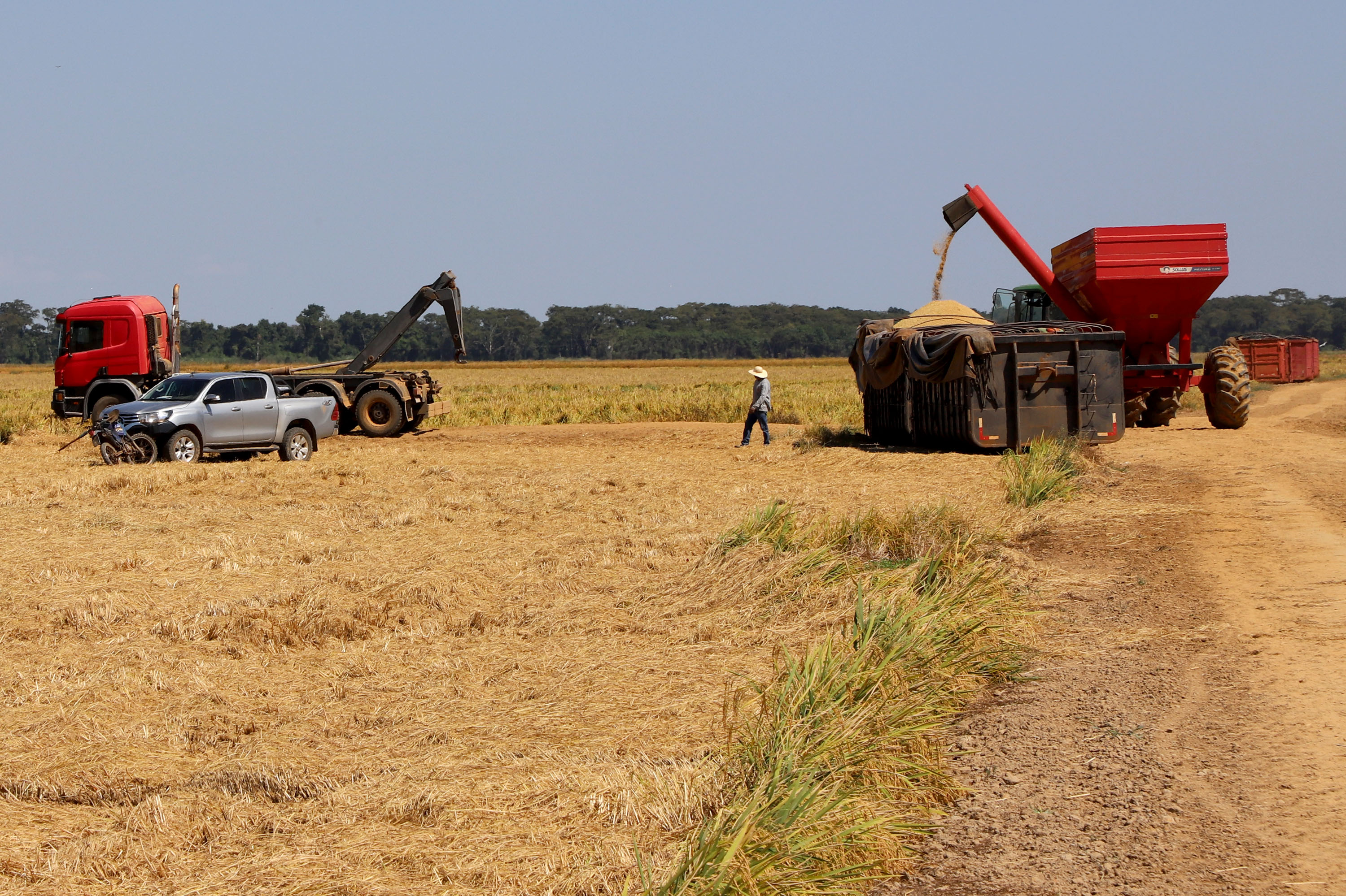 Fazenda Bassani em Santa Isabel do Ivaí. Foto: Ari Dias/AEN