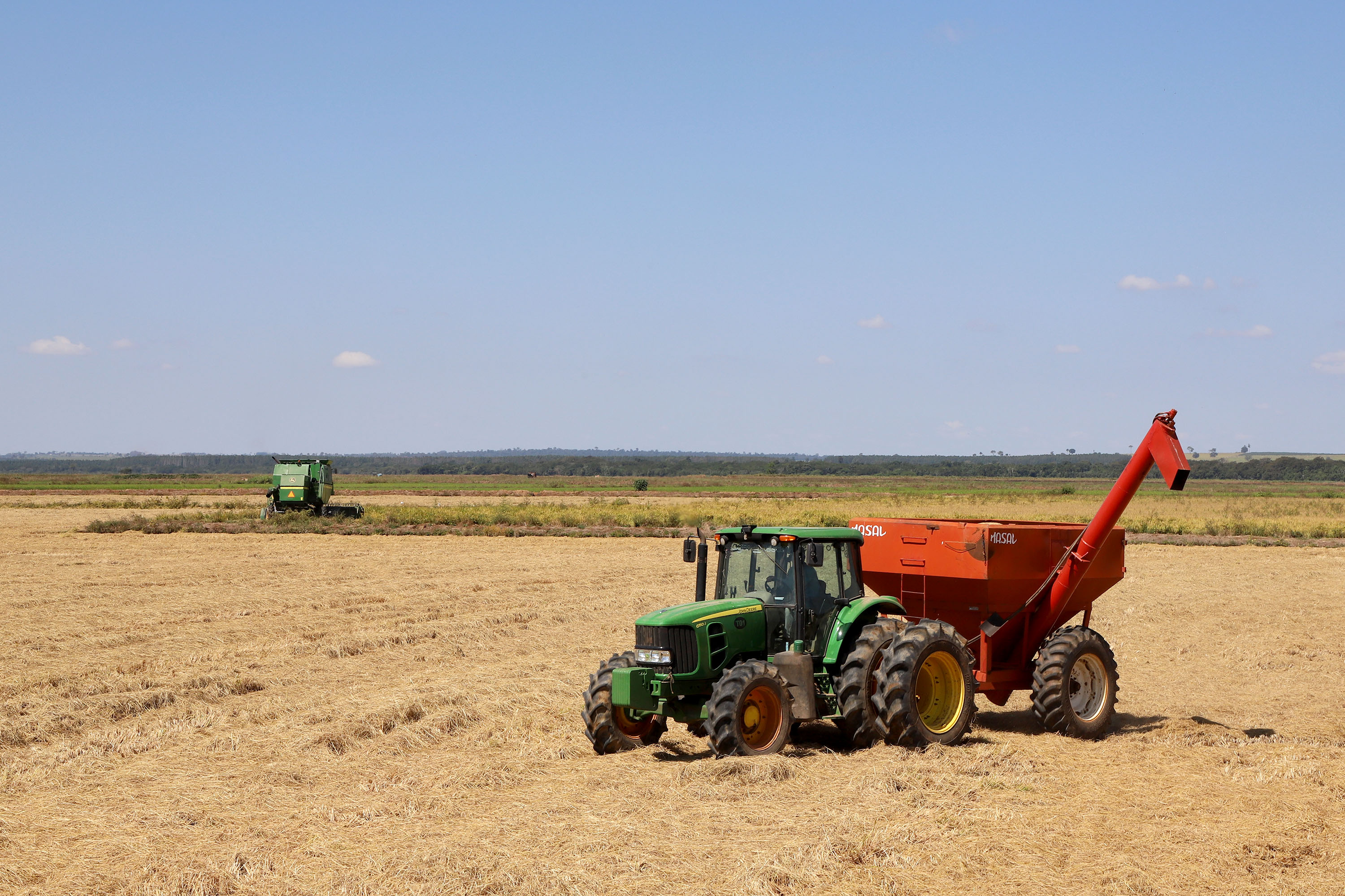 Fazenda Bassani em Santa Isabel do Ivaí. Foto: Ari Dias/AEN