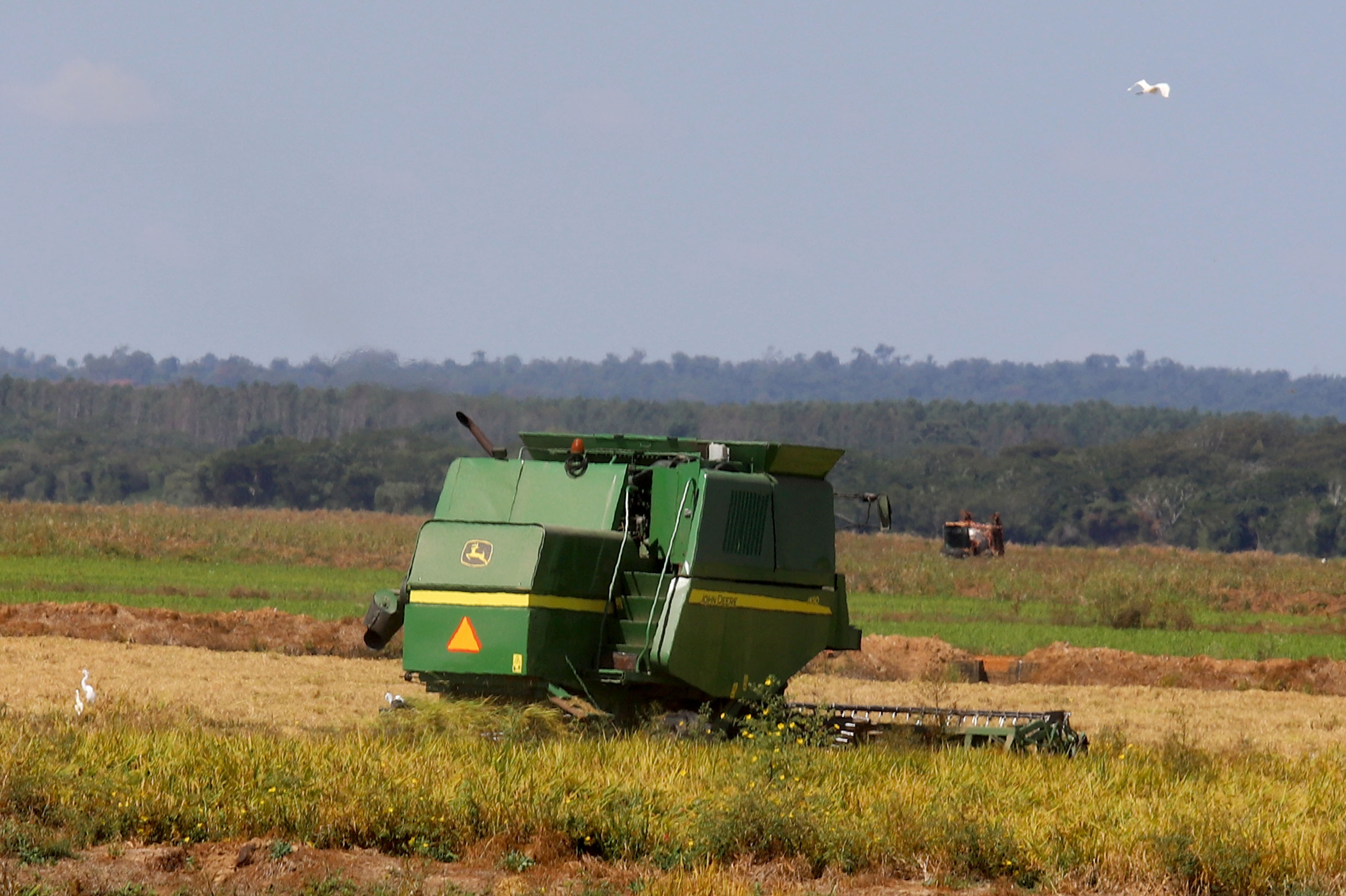 Fazenda Bassani em Santa Isabel do Ivaí. Foto: Ari Dias/AEN