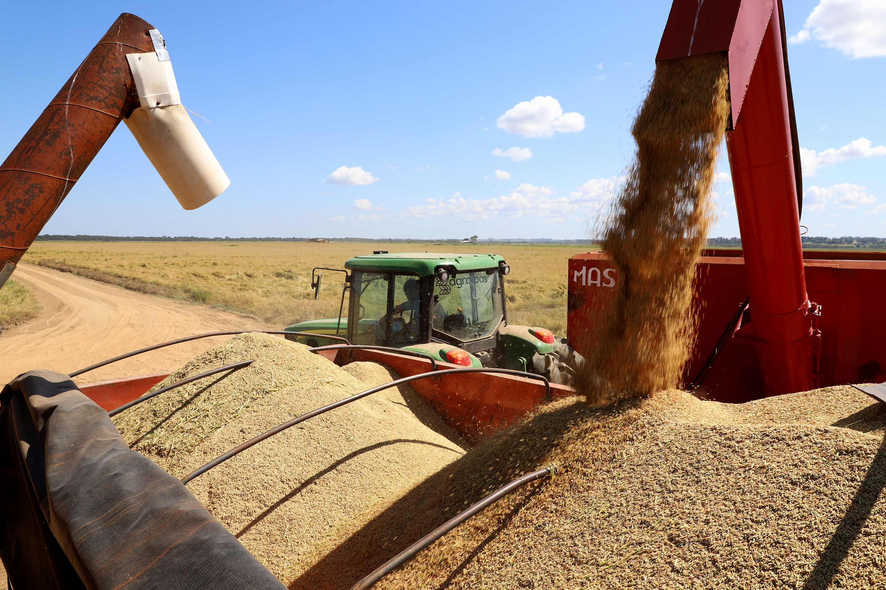 Fazenda Bassani em Santa Isabel do Ivaí. Foto: Ari Dias/AEN
