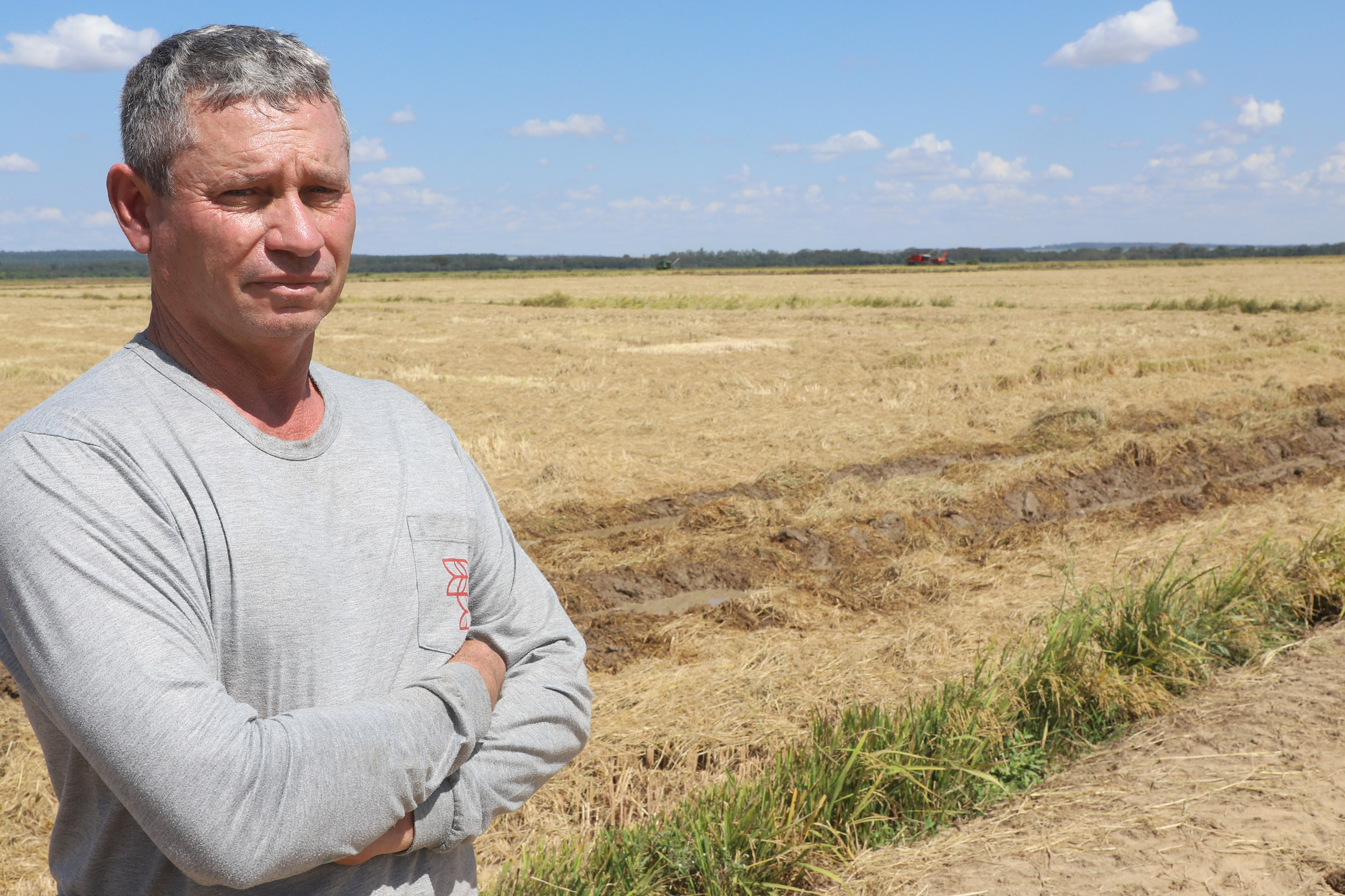 Almir Bassani. Fazenda Bassani em Santa Isabel do Ivaí. Foto: Ari Dias/AEN