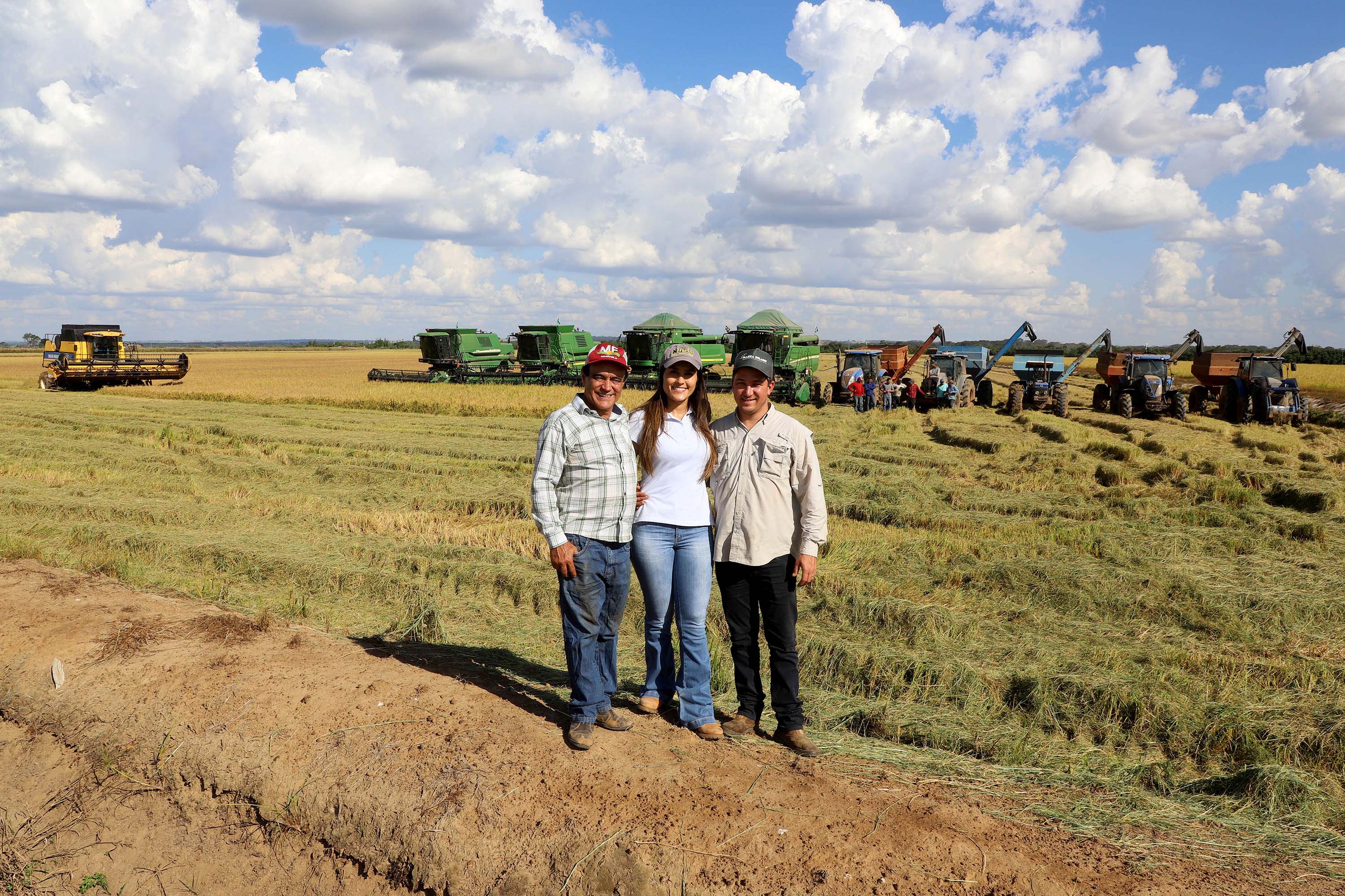 Colheita de arroz - Fazendas Volta Grande e Nova Brasília.Poliana Ramilde. Foto: Ari Dias/AEN