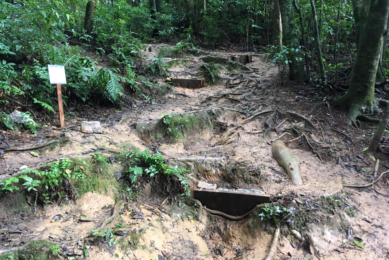 As trilhas do Parque Estadual Pico do Paraná e do Morro do Anhangava, atrativo do Parque Estadual Serra da Baitaca, receberam manutenção através de voluntários, neste final de semana. Ambos estão localizados na Região Metropolitana de Curitiba (RMC). -  Curitiba, 14/05/2021  -  Foto: Divulgação SEDEST