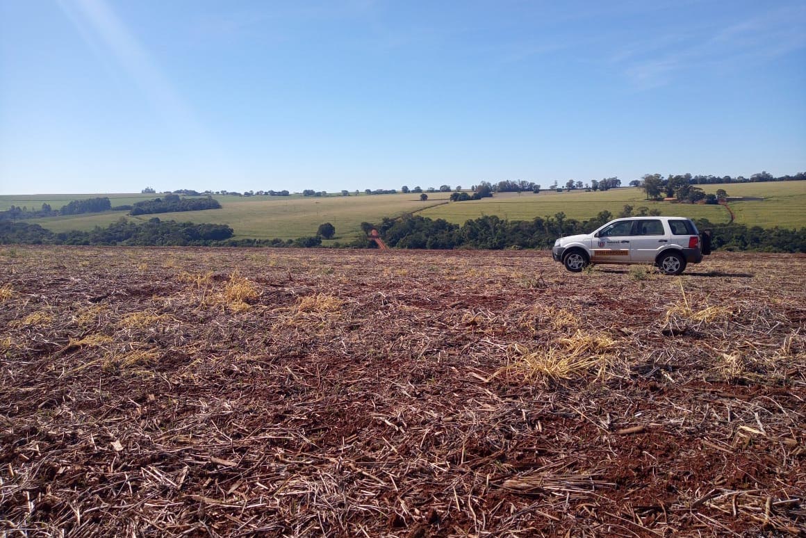 O vazio sanitário da soja no Paraná inicia nesta quinta-feira (10) e segue até 10 de setembro. Neste período, fica proibido cultivar, manter ou permitir a existência de plantas vivas de soja no campo. O objetivo é reduzir a sobrevivência do fungo causador da ferrugem asiática durante a entressafra e consequentemente atrasar a ocorrência da doença na próxima safra. - Foto: Camila Roberta Javorski Ueno/Adapar