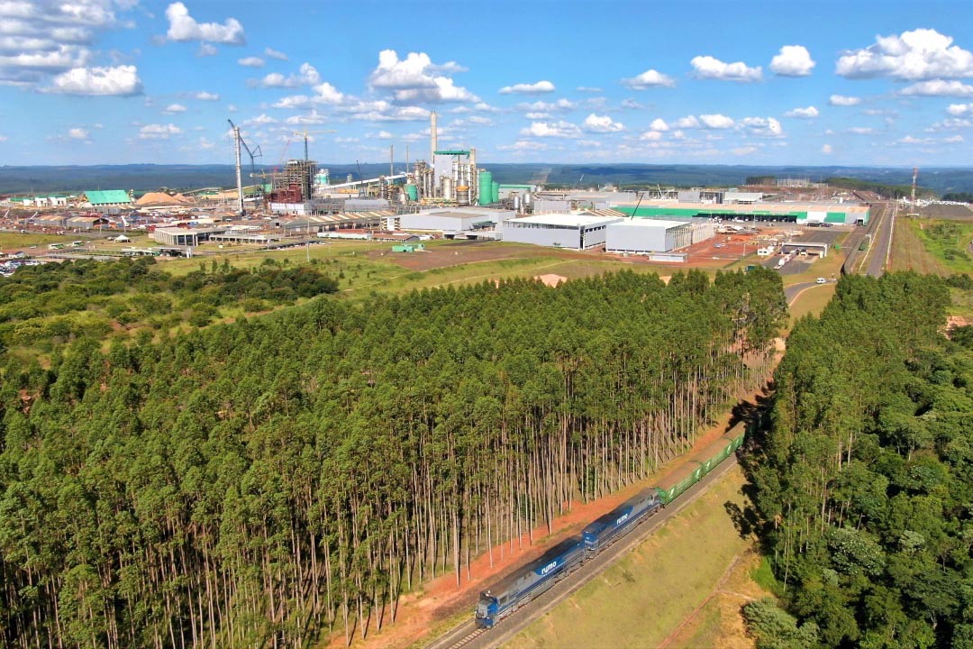 A primeira fase da ampliação das atividades da Klabin. no município de Ortigueira - Projeto Puma II, nos Campos Gerais, recebeu a Licença de Operação (LO) nesta quinta-feira (10). O documento foi entregue pelo Instituto Água e Terra (IAT), órgão vinculado à Secretaria do Desenvolvimento Sustentável e do Turismo (Sedest).  -  Curitiba, 11/06/2021  -  Foto: Rafael Chuí - Klabin