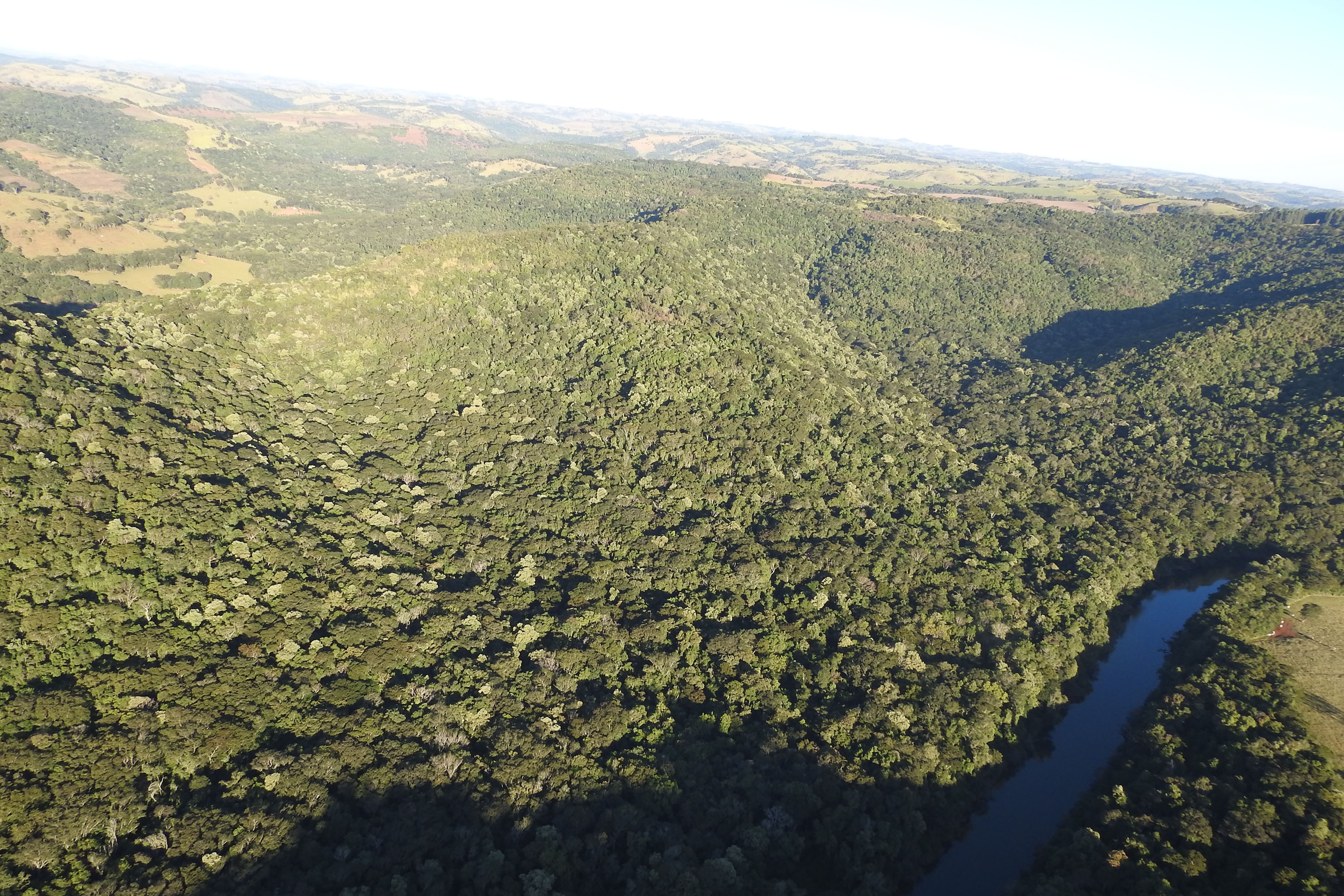 Estac?a?o Ecolo?gica Municipal de Palmital, munici?pio de Palmital  -  Foto: SEDEST