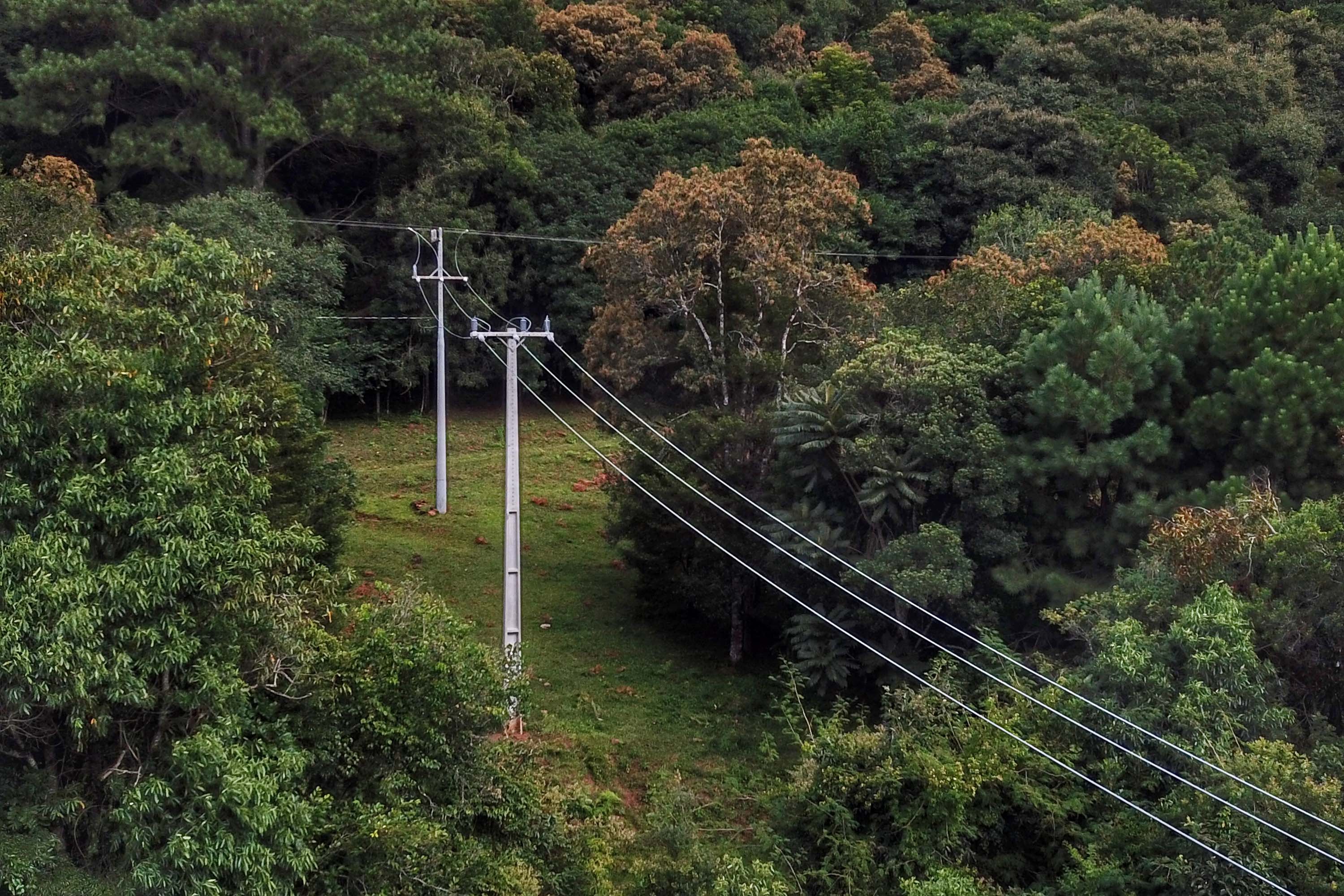 Paraná Trifásico. Foto: José Fernando Oura/AEN