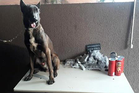 Na Semana Nacional Antidrogas, PM apreende mais de 2 toneladas de maconha no oeste do estado em apenas dois dias. Na fronteira com Paraguai, o 14º Batalhão da PM reforçou as operações e, em apenas dois dias, apreendeu mais de 2 toneladas de maconha. A mais recente apreensão aconteceu nesta madrugada (23/06). -  Curitiba, 23/06/2021  -  Foto: PMPR