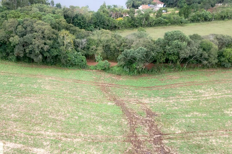 Com apoio de imagens de satélite e da aeronave do Batalhão de Operações Aéreas da Polícia Militar (BPMOA), fiscais do Escritório Regional do Instituto Água e Terra (IAT) em Ponta Grossa, nos Campos Gerais, identificaram atividades irregulares em Área de Preservação Permanente (APP) em uma propriedade rural. -  Foto: IAT