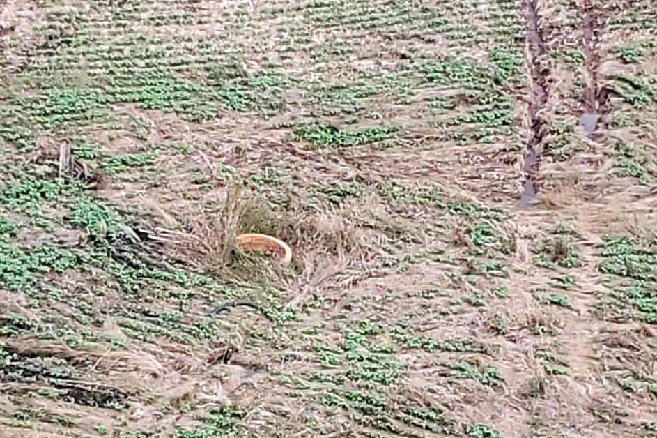 Com apoio de imagens de satélite e da aeronave do Batalhão de Operações Aéreas da Polícia Militar (BPMOA), fiscais do Escritório Regional do Instituto Água e Terra (IAT) em Ponta Grossa, nos Campos Gerais, identificaram atividades irregulares em Área de Preservação Permanente (APP) em uma propriedade rural. -  Foto: IAT