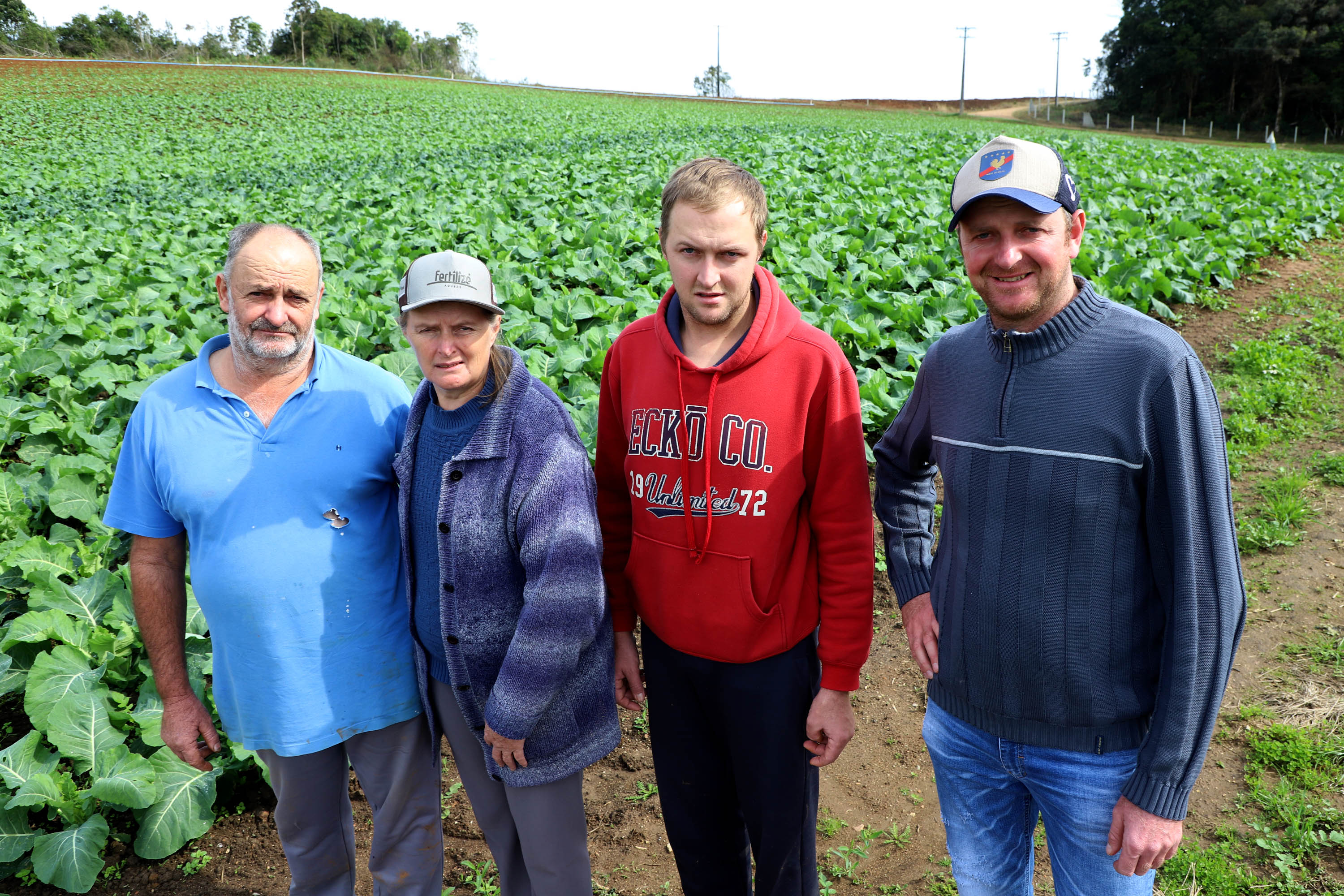 Hortaliças como brócolis e couve-flor mudam a paisagem de São José dos Pinhais - Pedro Burakowski e família -  Curitiba, 24/06/2021  -  Foto: Ari Dias/AEN