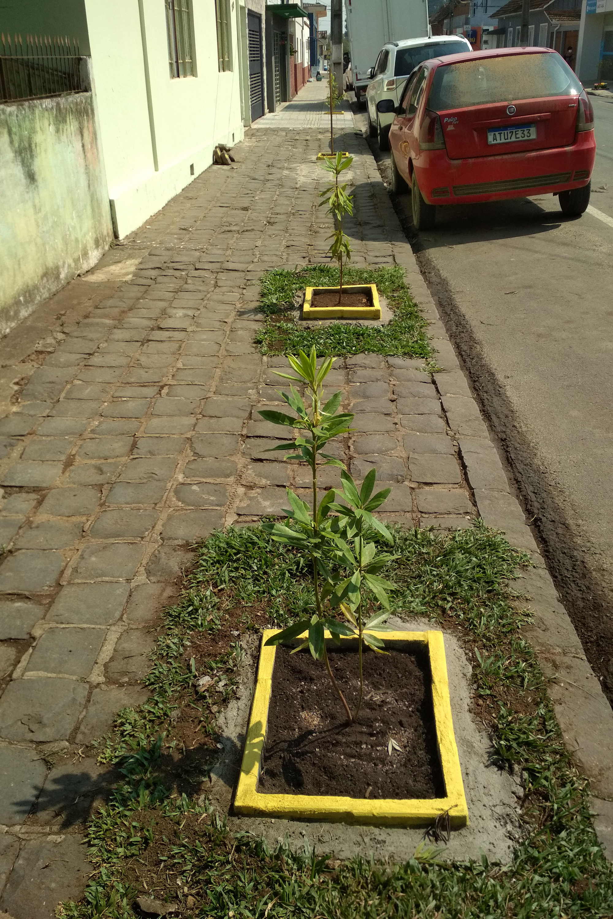 Junho foi marcado com ações em prol do meio ambiente. A Sedest e o IAT promoveram lives, distribuição de mudas em troca de alimentos, produção de vídeos institucionais e campanha nas redes sociais. O objetivo foi despertar a educação ambiental em toda a sociedade  - Curitiba, 30/06/2021  -  Foto: Denis Eduardo Bednarchuk