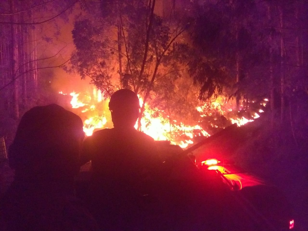 Nos primeiros quatro meses de 2021, o Corpo de Bombeiros do Paraná registrou 2.760 casos de incêndios em vegetação nativa ou plantação, 1.181 a menos que no primeiro quadrimestre de 2020, representando uma queda de 30%.  -  Curitiba, 05/07/2021  -  Foto: SESP-PR