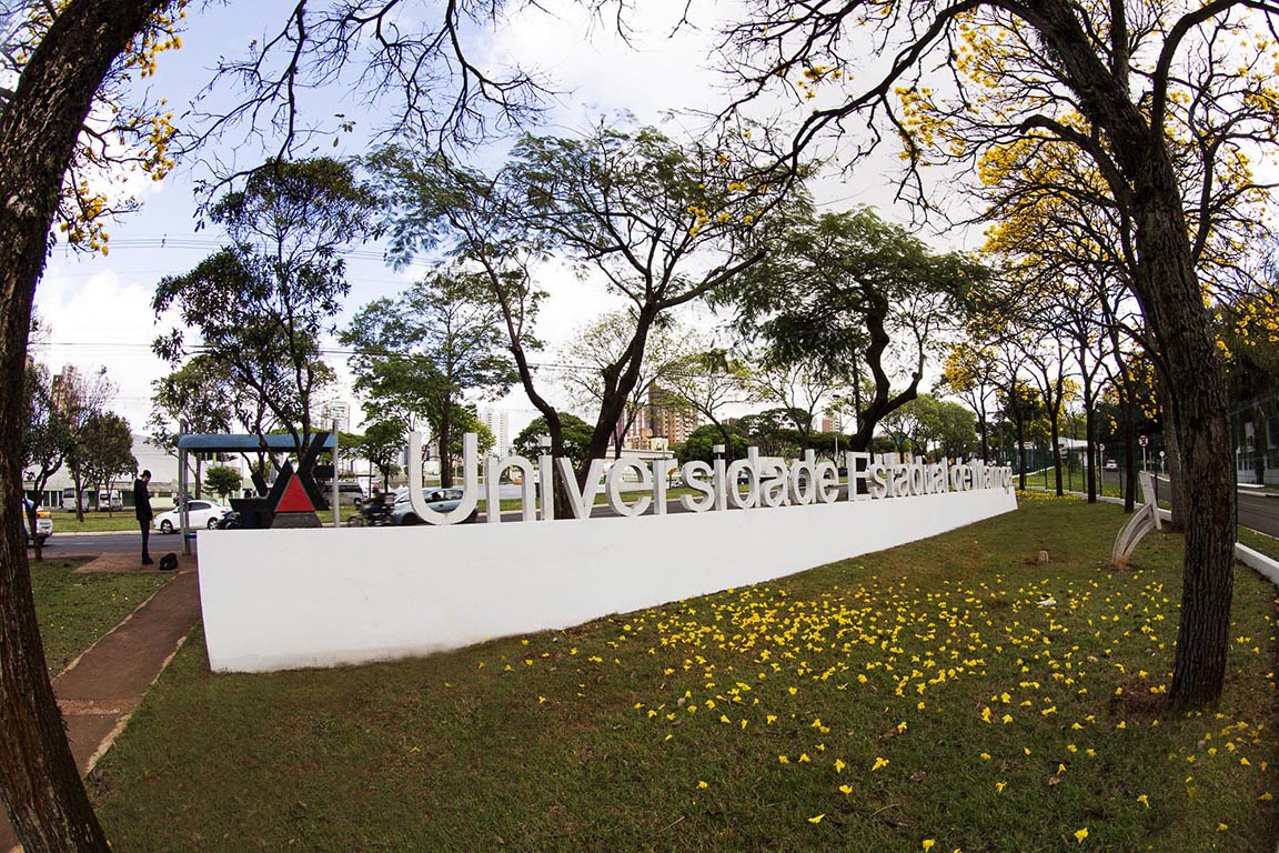 Comitê Covid-19 analisa Comitê de enfrentamento à Covid-19 da UEM
Foto: UEM