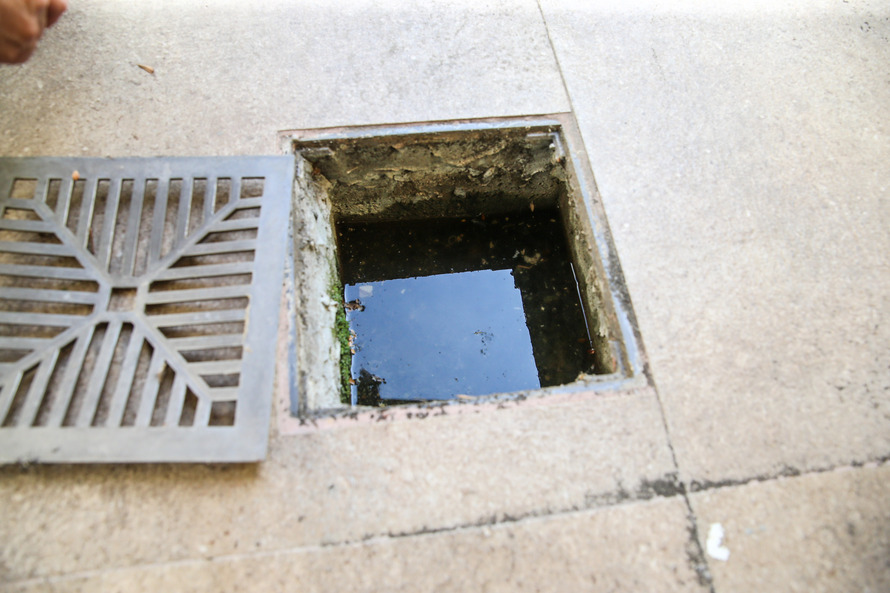 Foto: Geraldo Bubniak/AEN