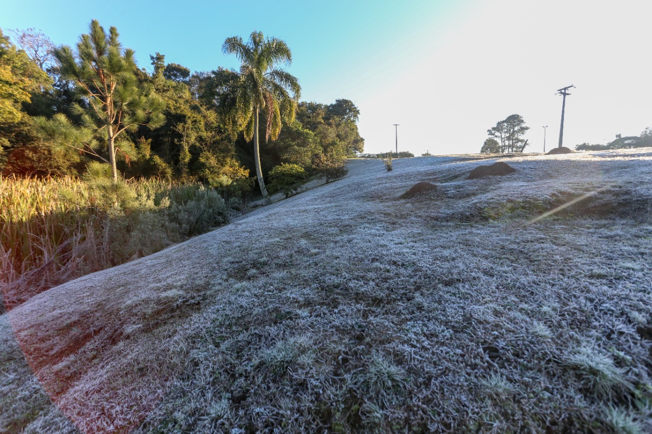 Paraná tem 16 cidades com temperaturas negativas; General Carneiro registrou -7,8ºC  Foto: Valdelino Pontes/AEN