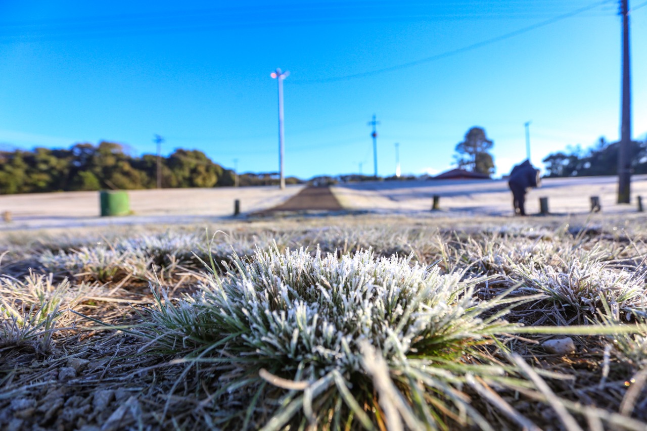 Paraná tem 16 cidades com temperaturas negativas; General Carneiro registrou -7,8ºC  Foto: Valdelino Pontes/AEN
