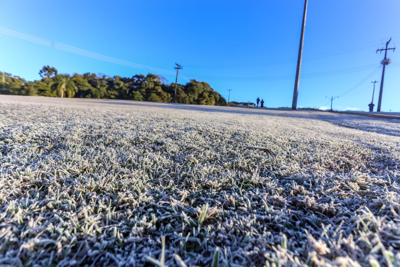 Paraná tem 16 cidades com temperaturas negativas; General Carneiro registrou -7,8ºC  Foto: Valdelino Pontes/AEN