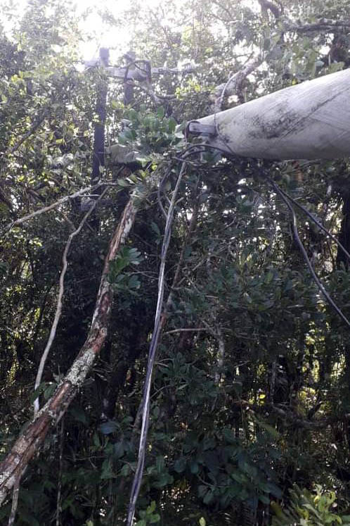 Polícia Civil do Paraná prende homem em flagrante por furto de energia no Litoral
Foto PCPR