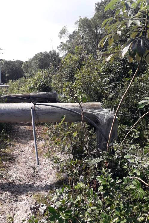 Polícia Civil do Paraná prende homem em flagrante por furto de energia no Litoral
Foto PCPR