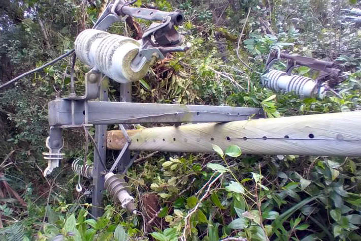 Polícia Civil do Paraná prende homem em flagrante por furto de energia no Litoral
Foto PCPR