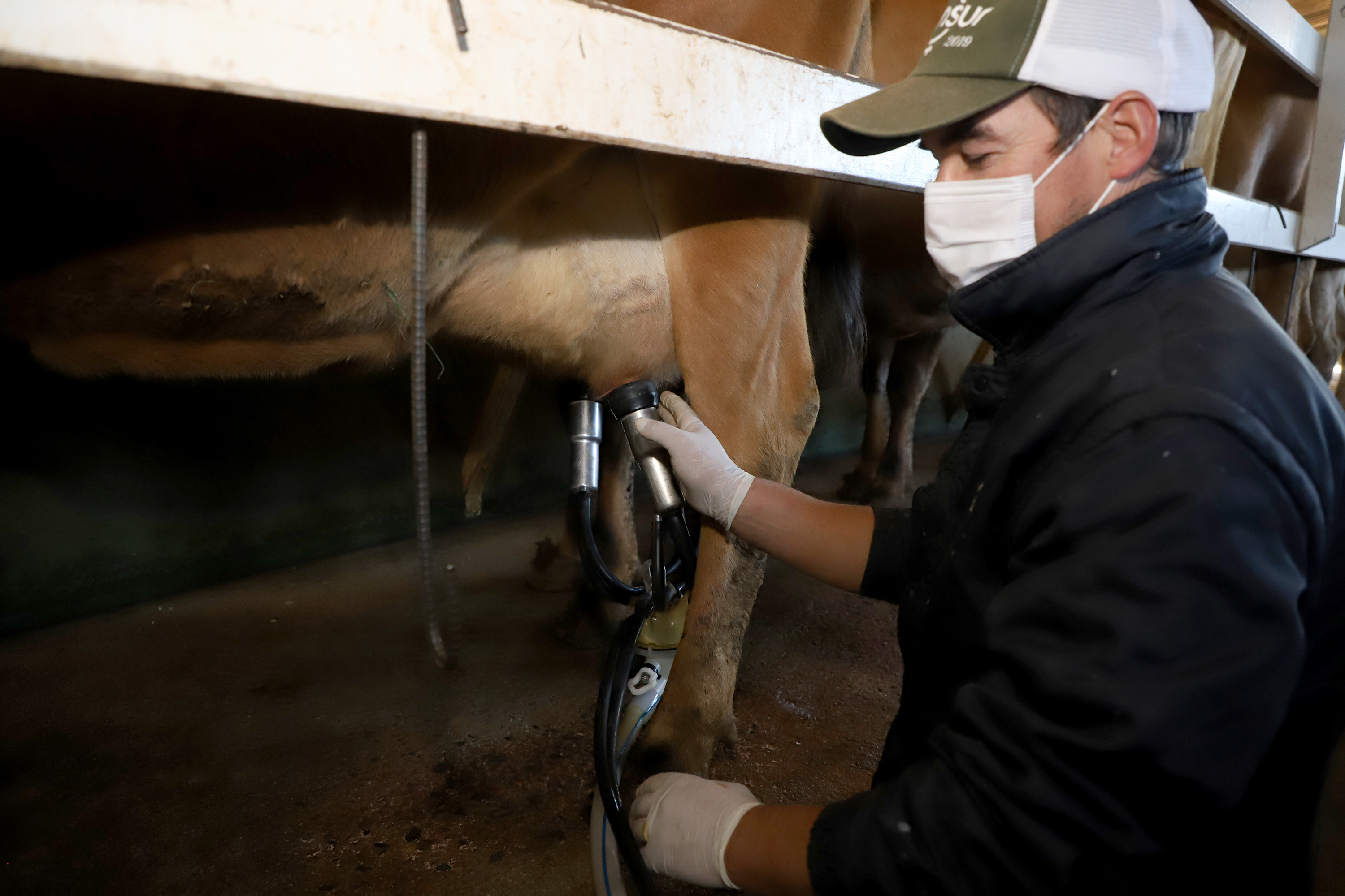Centro de Treinamentos para Pecuaristas (CTP), em Castro. Foto: Ari Dias/AEN
