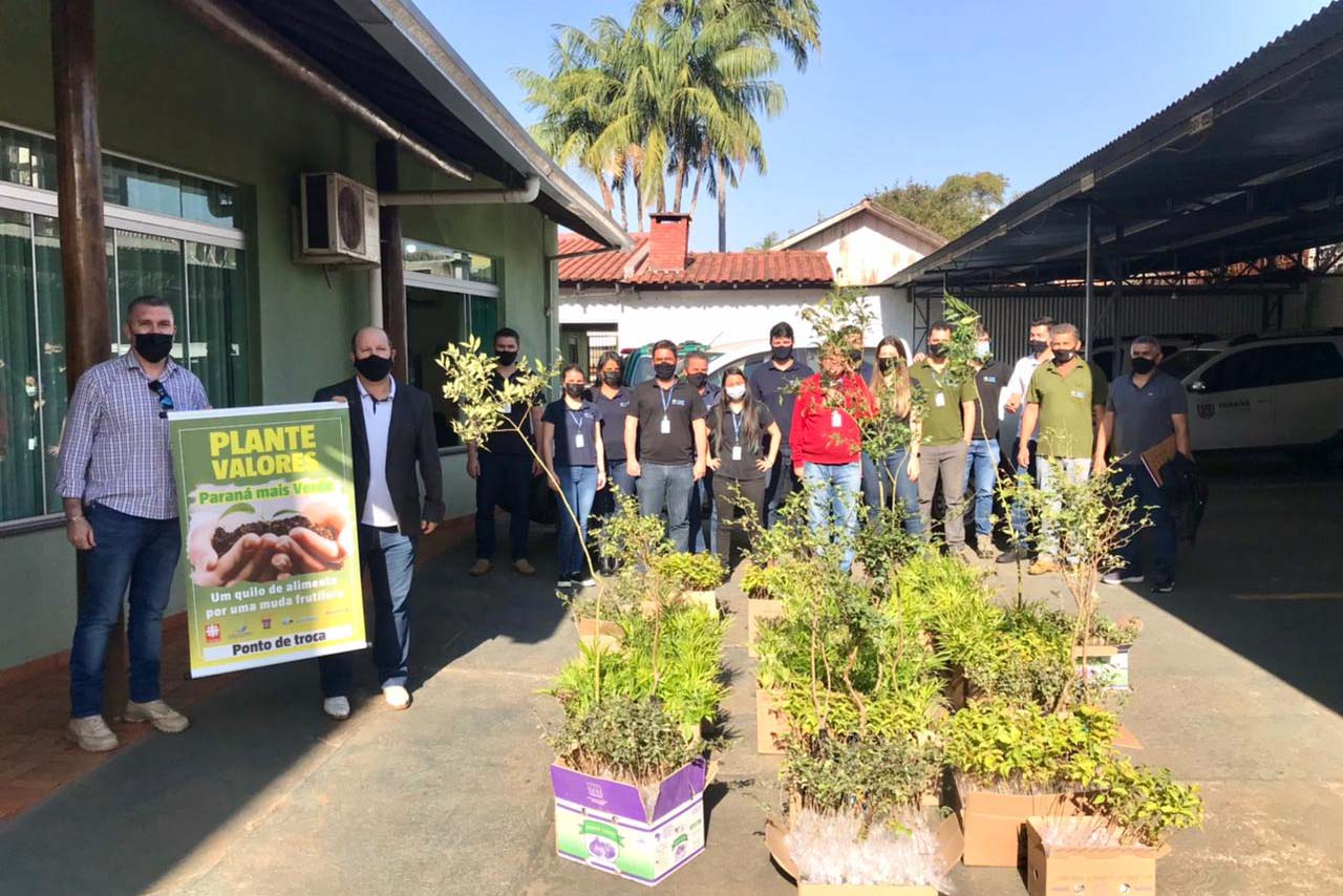 Os moradores de Campo Mourão podem contribuir para a campanha solidária do Instituto Água e Terra (IAT) na doação de um quilo de alimento em troca de uma muda de árvore nativa.  -  Curitiba, 10/08/2021  -  Foto: SEDEST