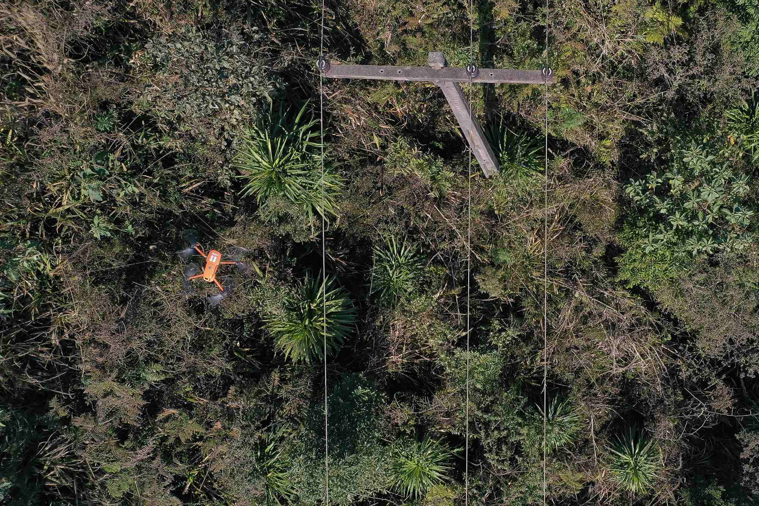 Copel amplia uso de drones para inspeção de redes de energia. Foto:Alessandro Vieira/AEN