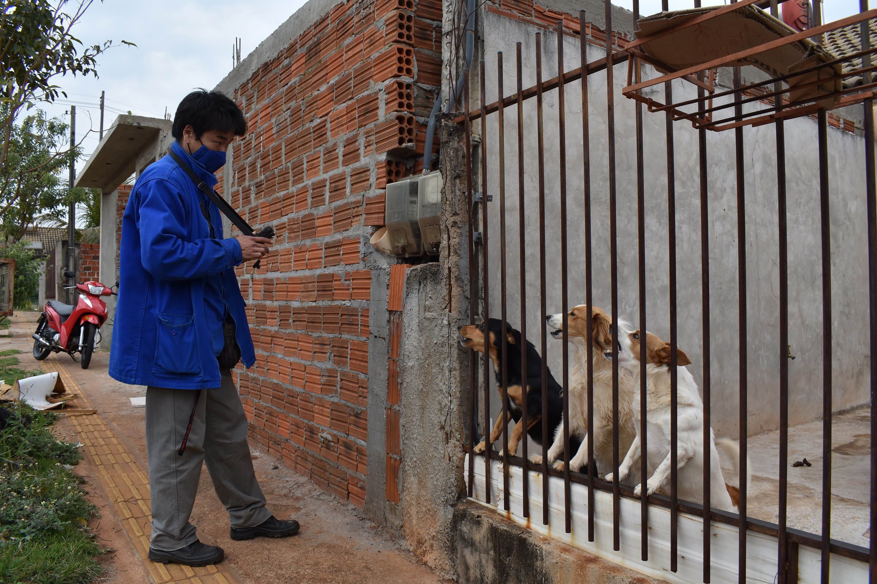 A presença de animais de estimação nos domicílios ganhou destaque ao longo da pandemia, sendo a companhia fiel de muitas famílias. Mas especialmente os cães, presentes em 57% dos lares na região Sul do Brasil segundo o IBGE, demandam atenção especial dos donos para que não ocorram acidentes. -  Curitiba, 16/08/2021  -  Foto: Rakelly Calliari/COPEL