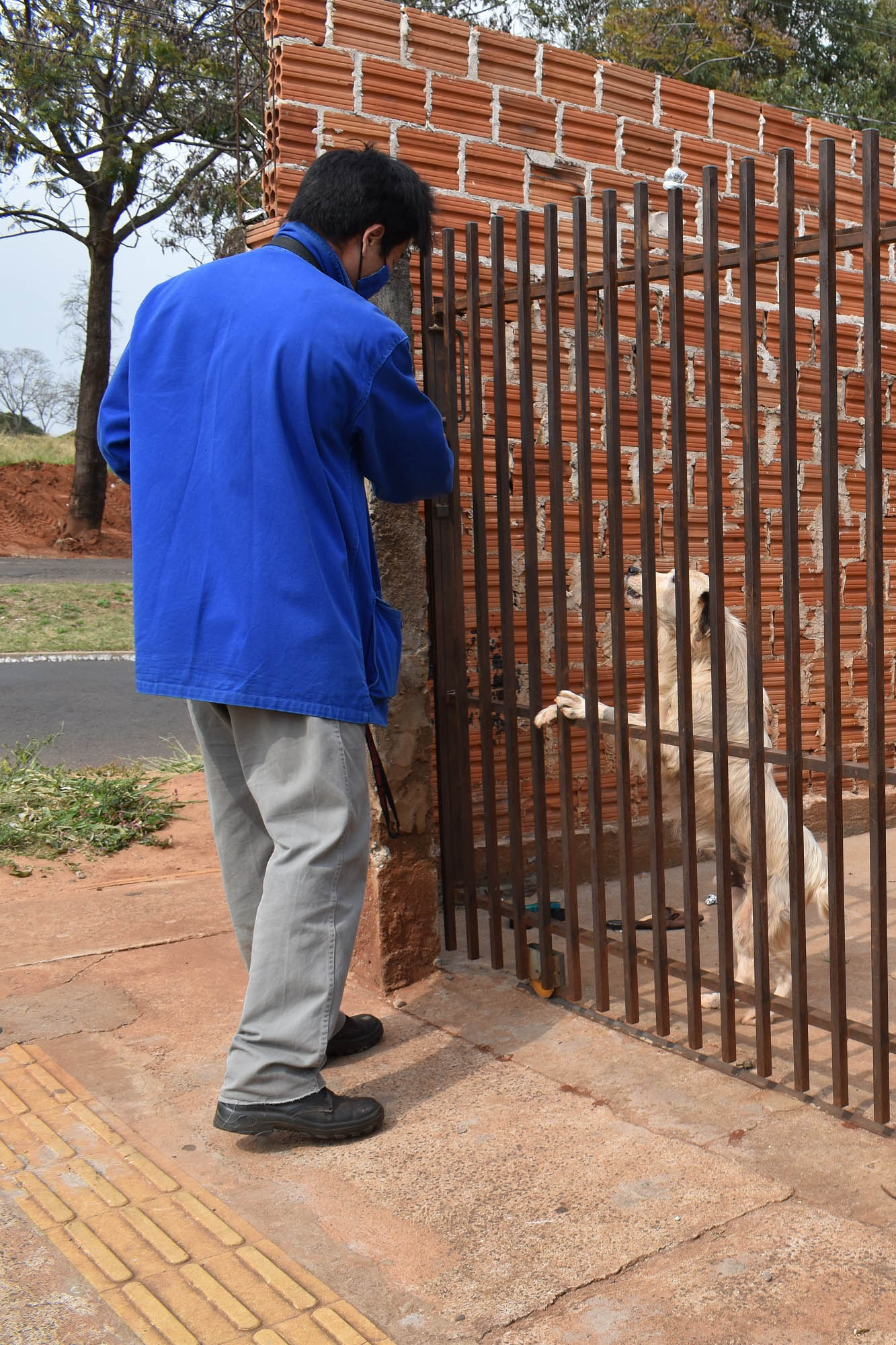 A presença de animais de estimação nos domicílios ganhou destaque ao longo da pandemia, sendo a companhia fiel de muitas famílias. Mas especialmente os cães, presentes em 57% dos lares na região Sul do Brasil segundo o IBGE, demandam atenção especial dos donos para que não ocorram acidentes. -  Curitiba, 16/08/2021  -  Foto:Rakelly Calliari/ COPEL