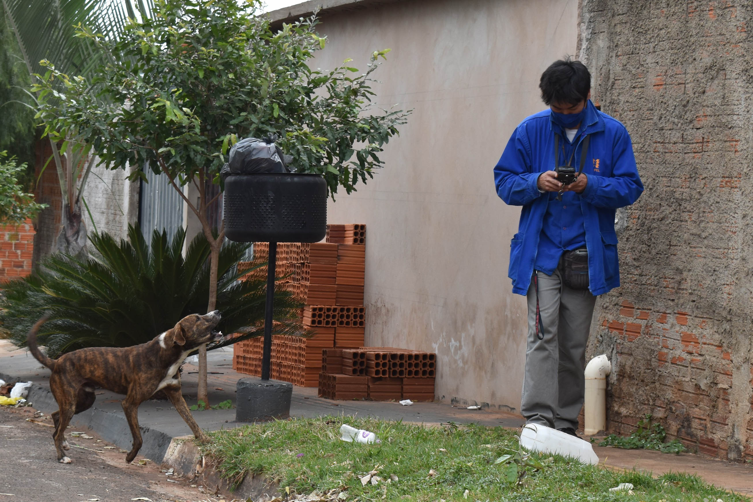 A presença de animais de estimação nos domicílios ganhou destaque ao longo da pandemia, sendo a companhia fiel de muitas famílias. Mas especialmente os cães, presentes em 57% dos lares na região Sul do Brasil segundo o IBGE, demandam atenção especial dos donos para que não ocorram acidentes. -  Curitiba, 16/08/2021  -  Foto: Rakelly Calliari/ COPEL