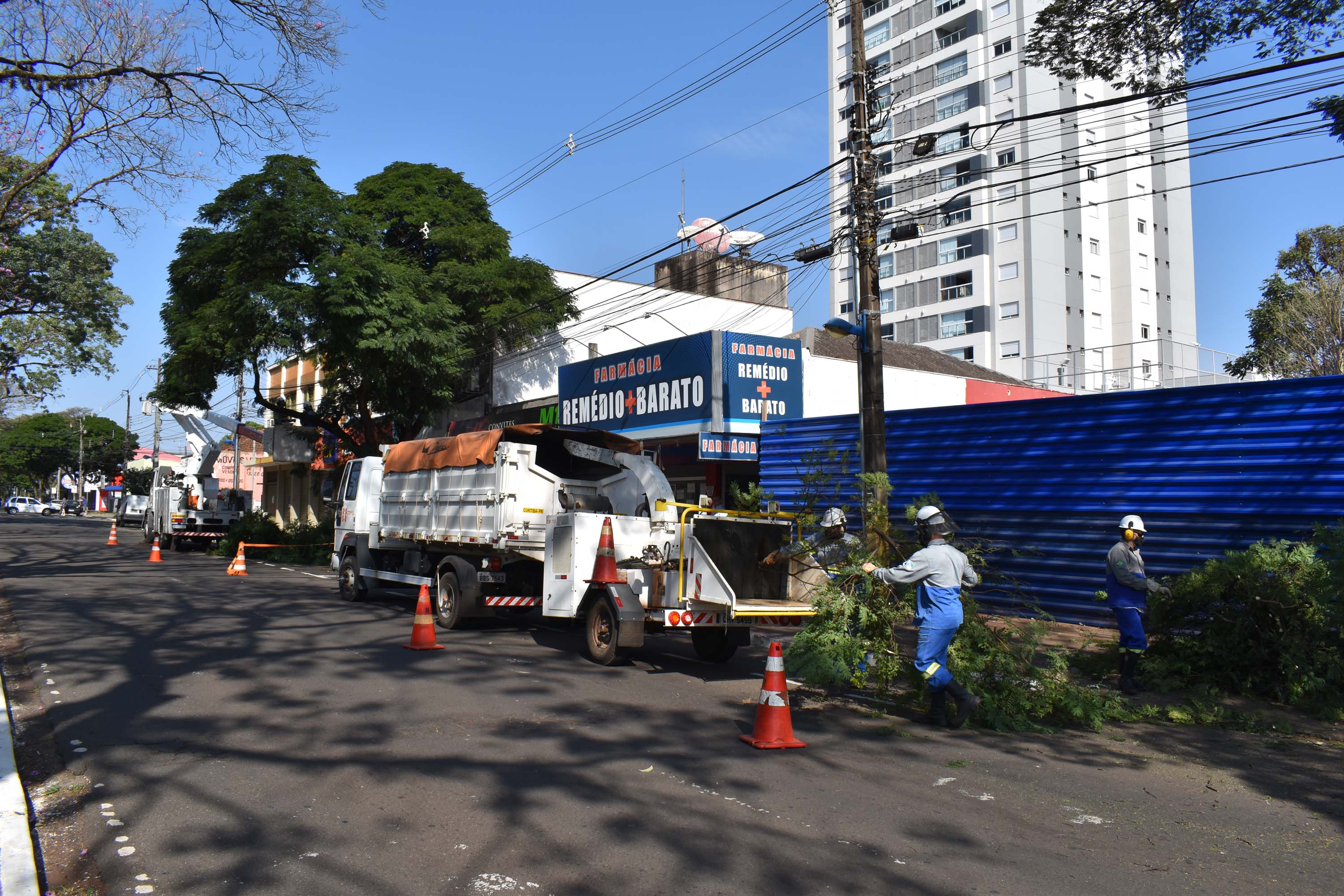 Mutirão da Copel promoveu inspeção e limpeza das rede. Foto: Rakelly Calliari/COPEL