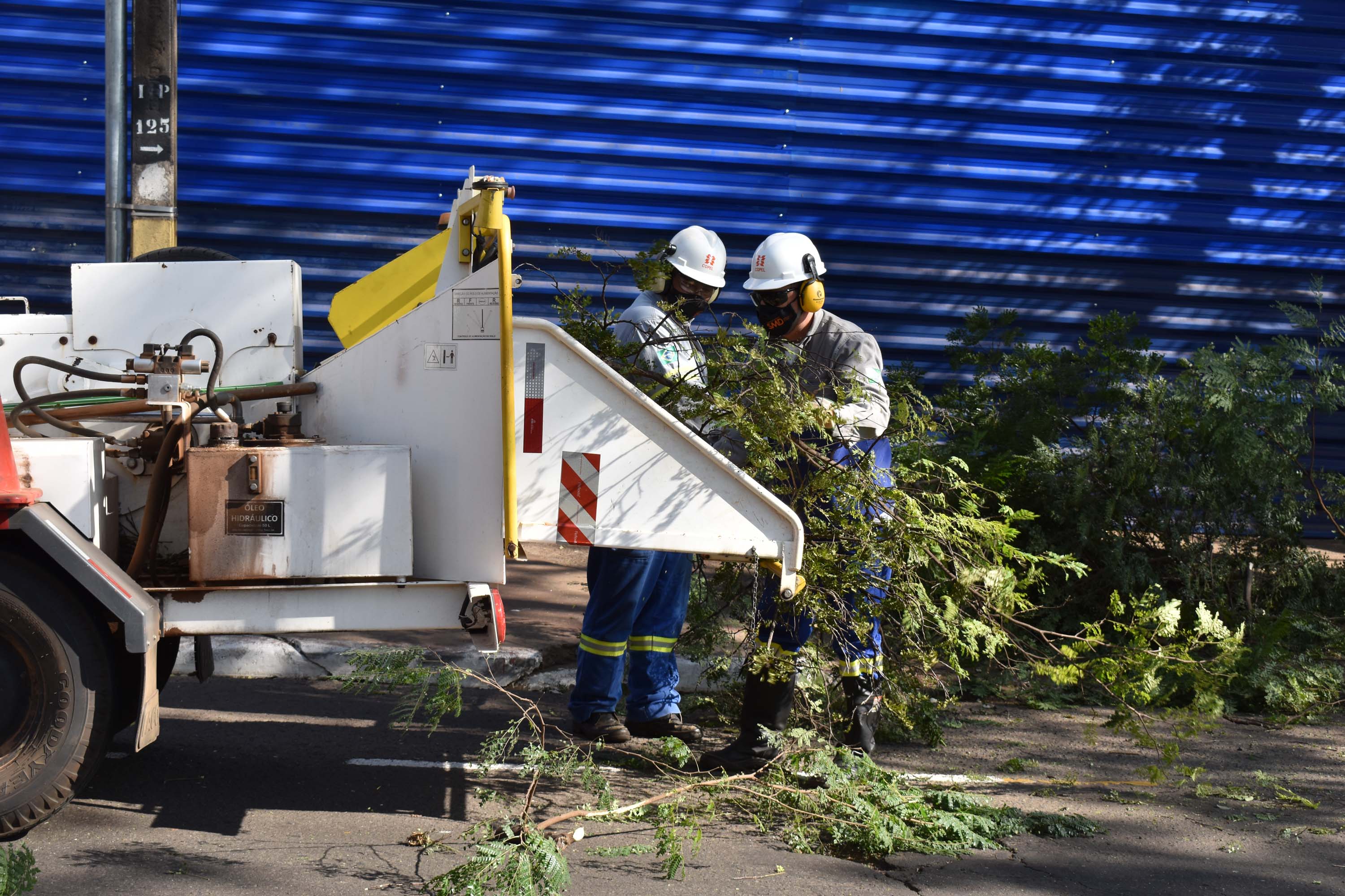 Mutirão da Copel promoveu inspeção e limpeza das rede. Foto:Rakelly Calliari/COPEL