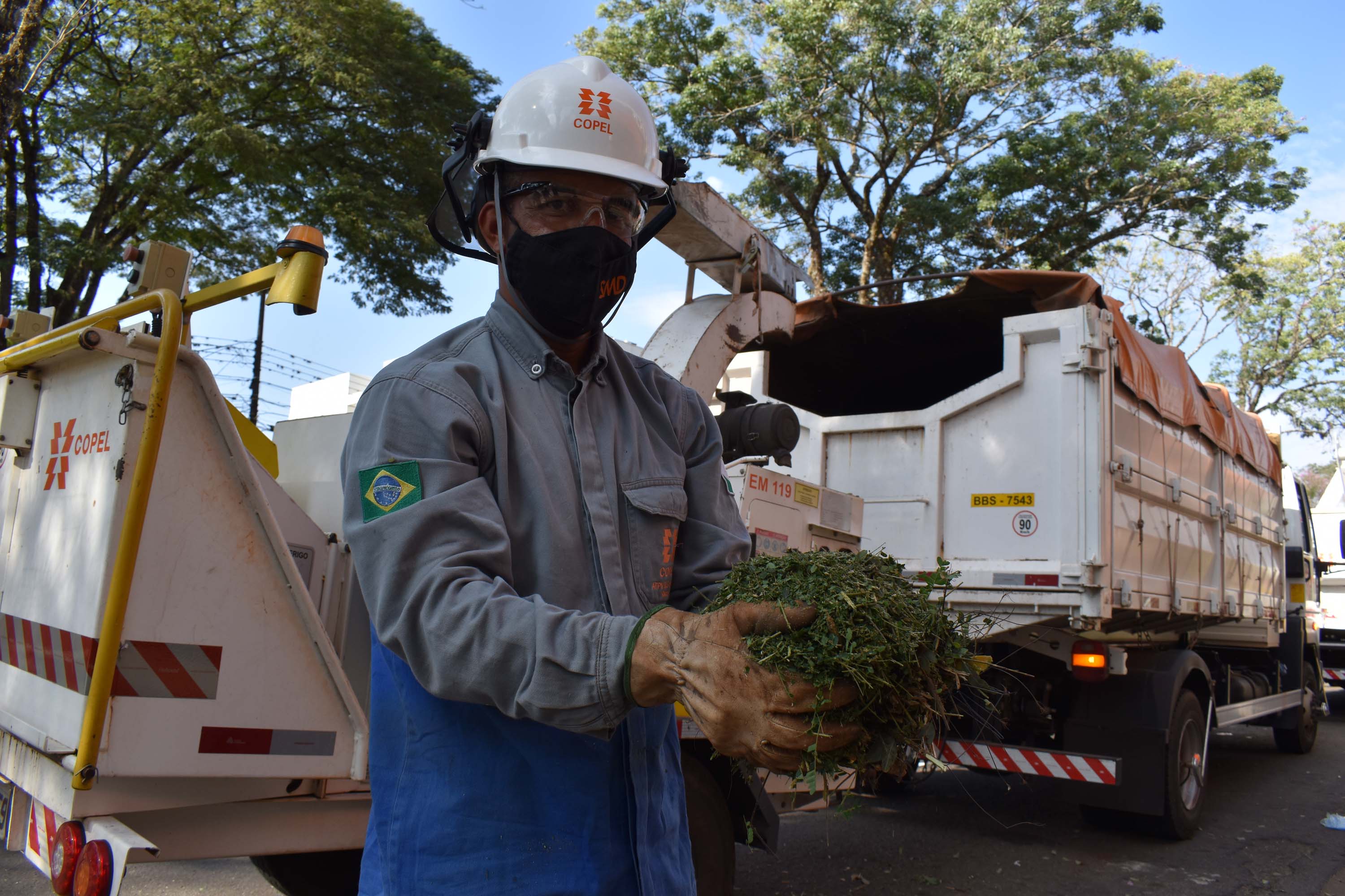 Mutirão da Copel promoveu inspeção e limpeza das rede. Foto: Rakelly Calliari/COPEL