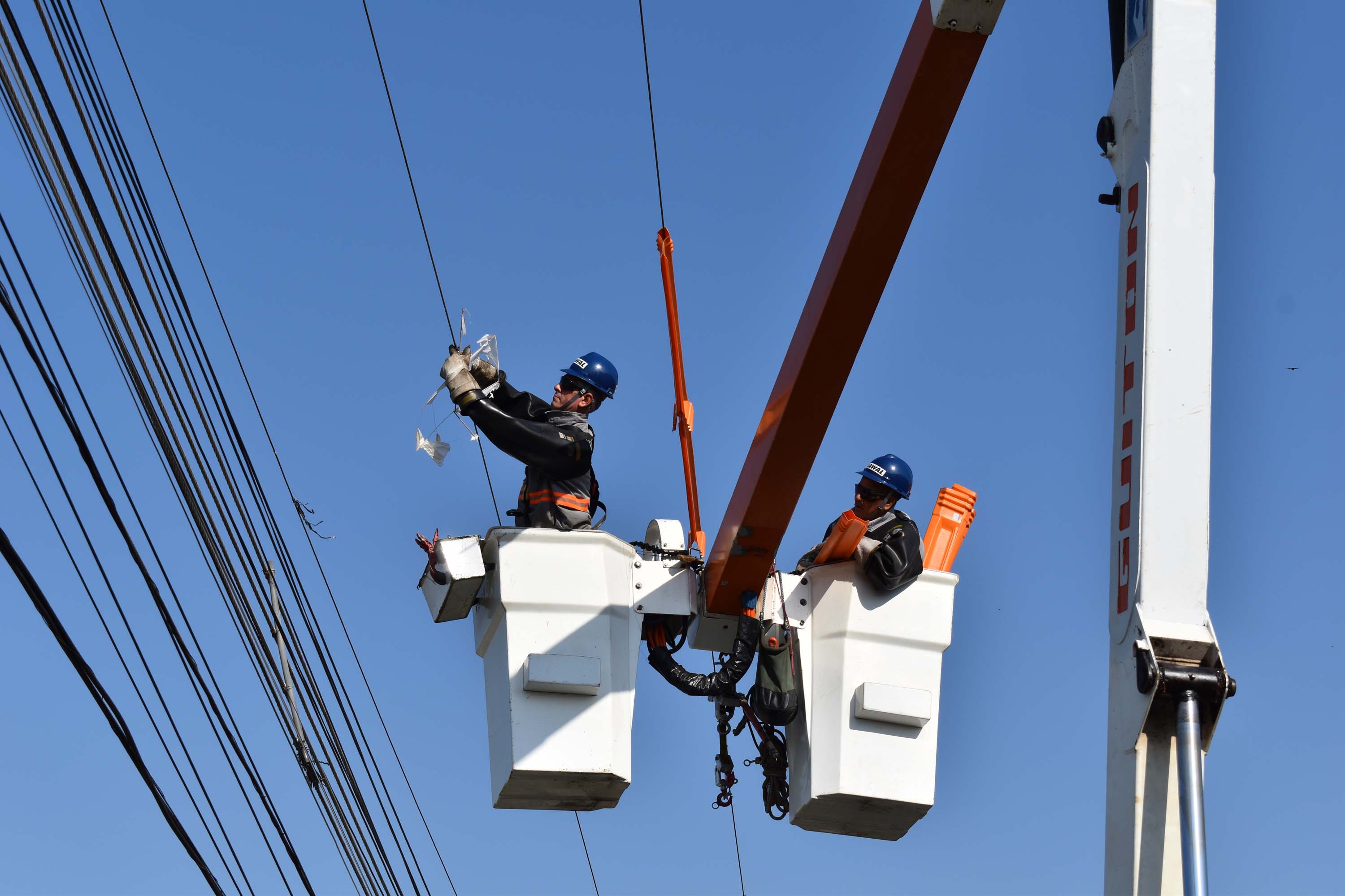 Mutirão da Copel promoveu inspeção e limpeza das rede. Foto: Rakelly Calliari/COPEL