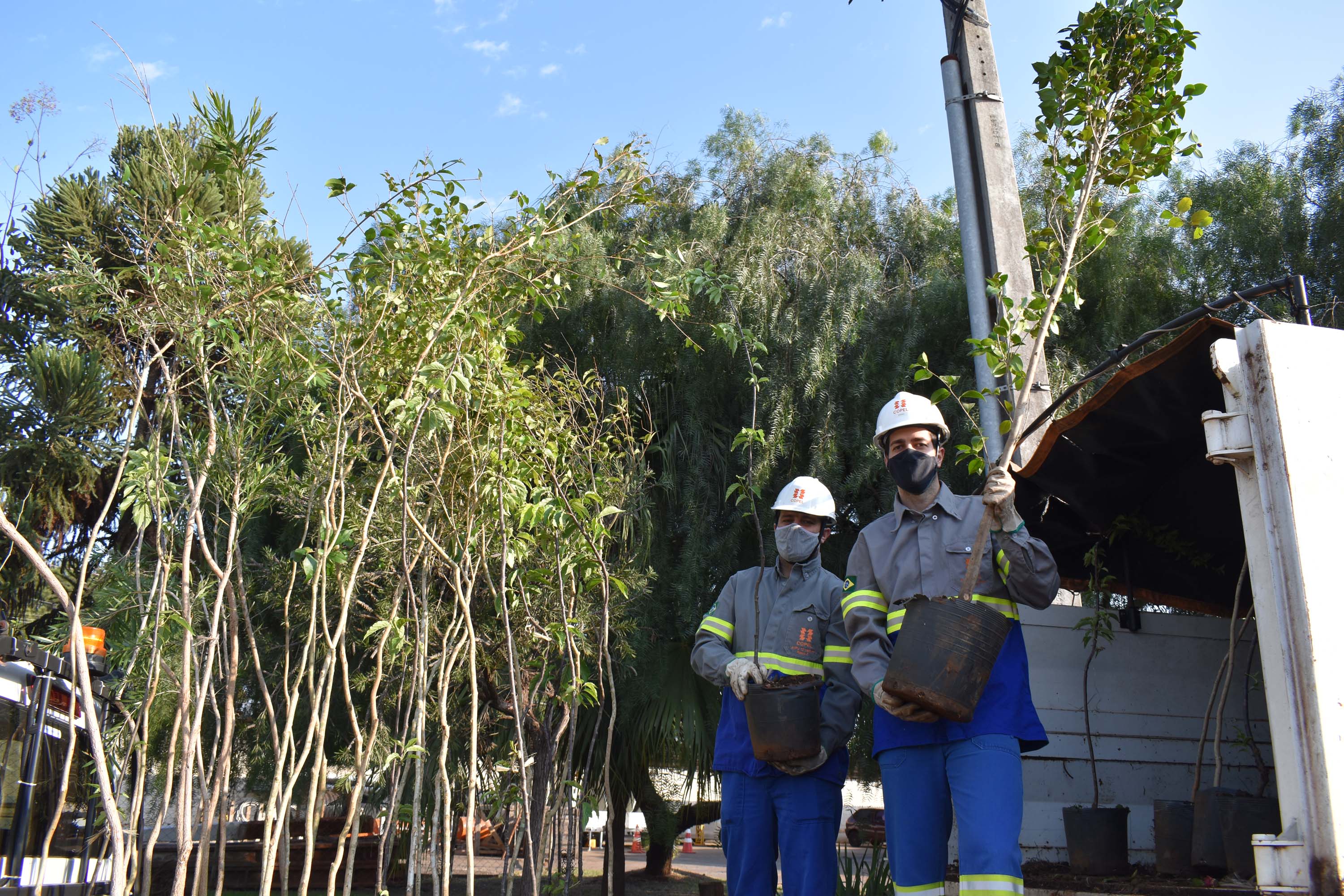 Mutirão da Copel promoveu inspeção e limpeza das rede. Foto: Rakelly Calliari/COPEL
