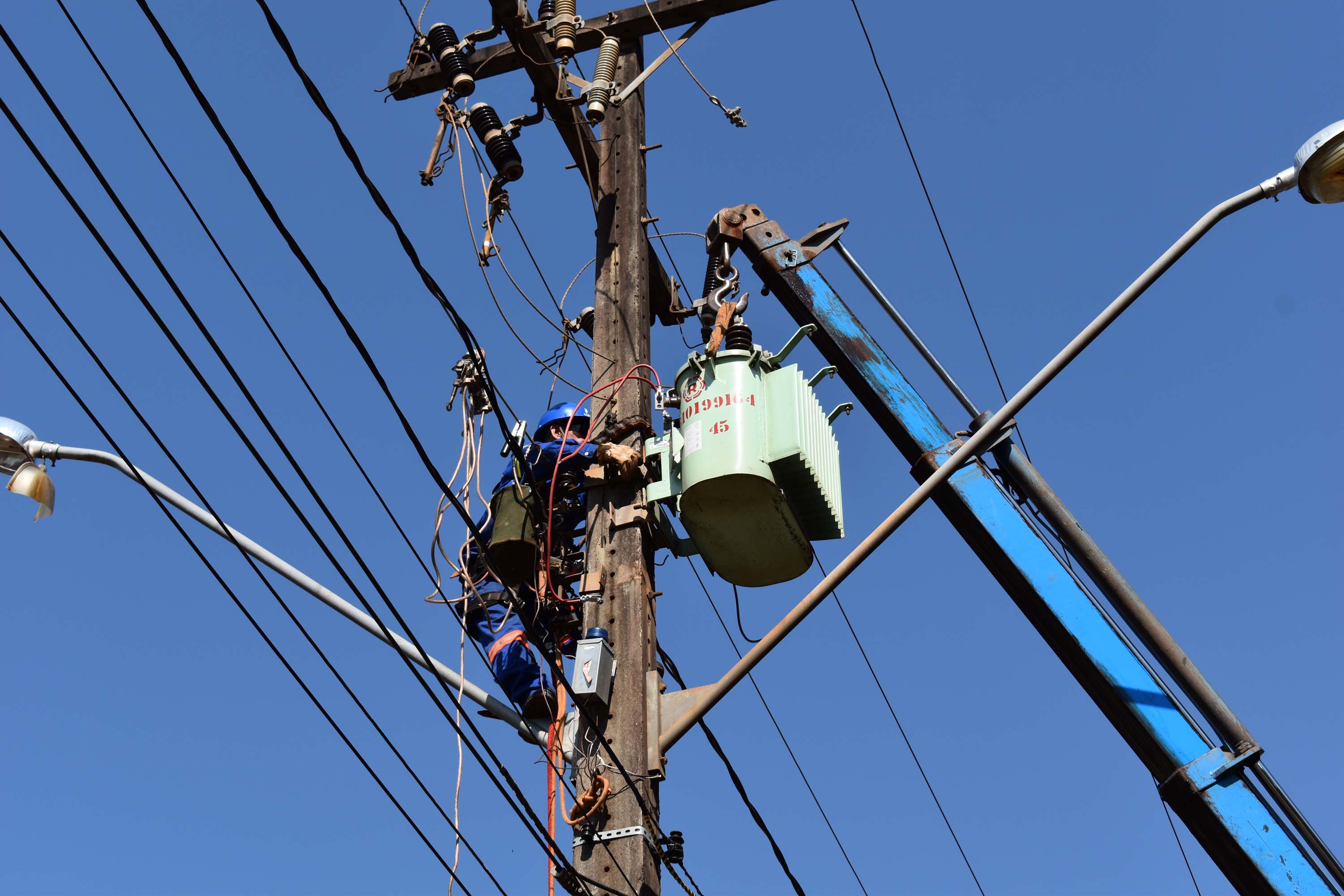 Mutirão da Copel promoveu inspeção e limpeza das rede. Foto: Rakelly Calliari/COPEL