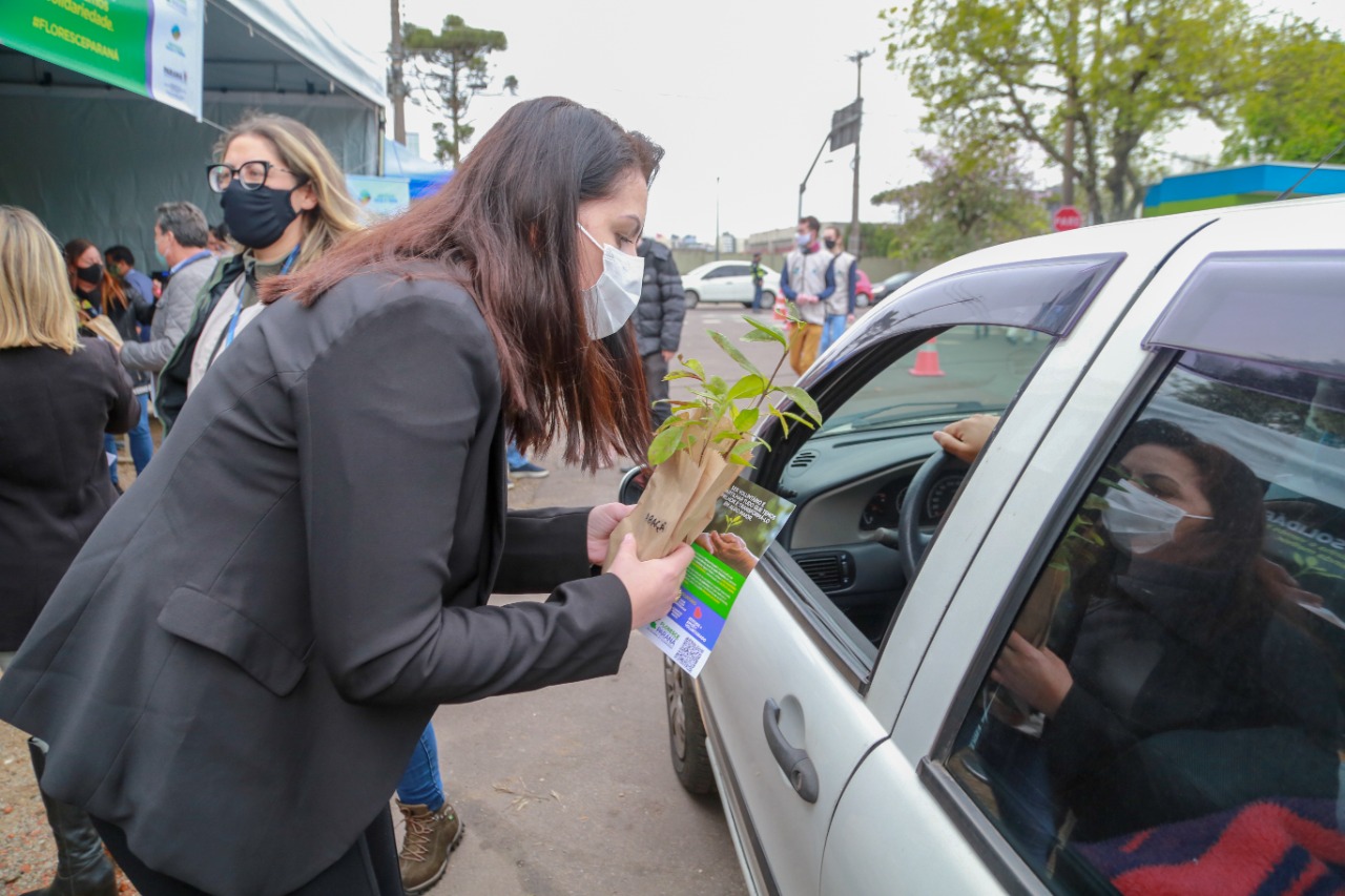 A primeira-dama Luciana Saito Massa, que preside o Conselho de Ação Solidária, e o secretário de Desenvolvimento Sustentável e do Turismo, Márcio Nunes, participam  da distribuição de mudas da campanha Floresce Paraná.F oto: Valdelino Pontes