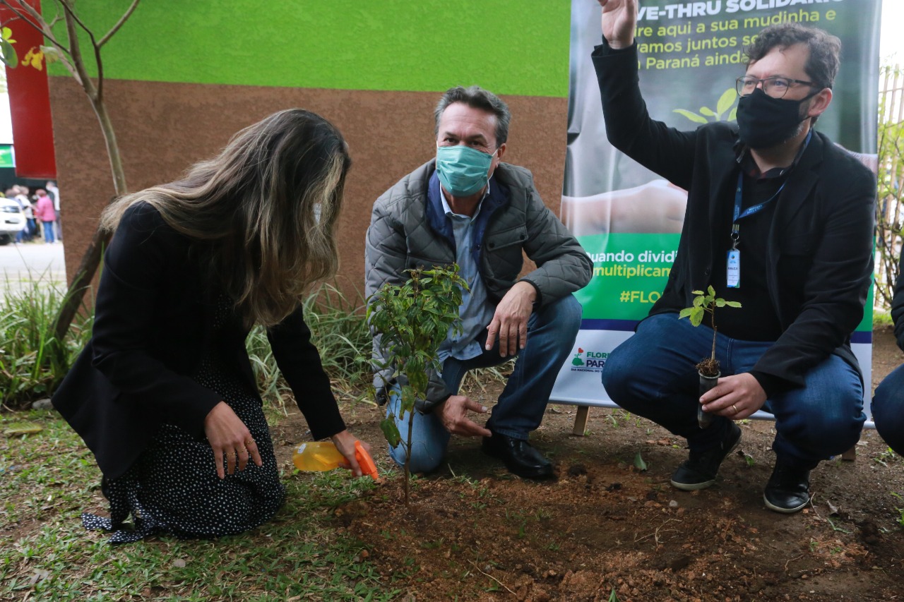 A primeira-dama Luciana Saito Massa, que preside o Conselho de Ação Solidária, e o secretário de Desenvolvimento Sustentável e do Turismo, Márcio Nunes, participam  da distribuição de mudas da campanha Floresce Paraná.F oto: Valdelino Pontes