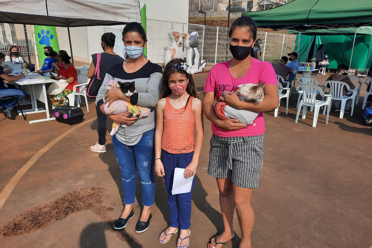 Programa CastraPet esteriliza gratuitamente animais em Guarapuava até a próxima terça-feira. Foto:SEDEST
