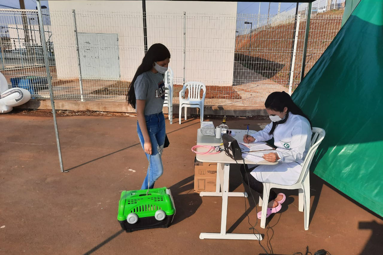 Programa CastraPet esteriliza gratuitamente animais em Guarapuava até a próxima terça-feira. Foto:SEDEST