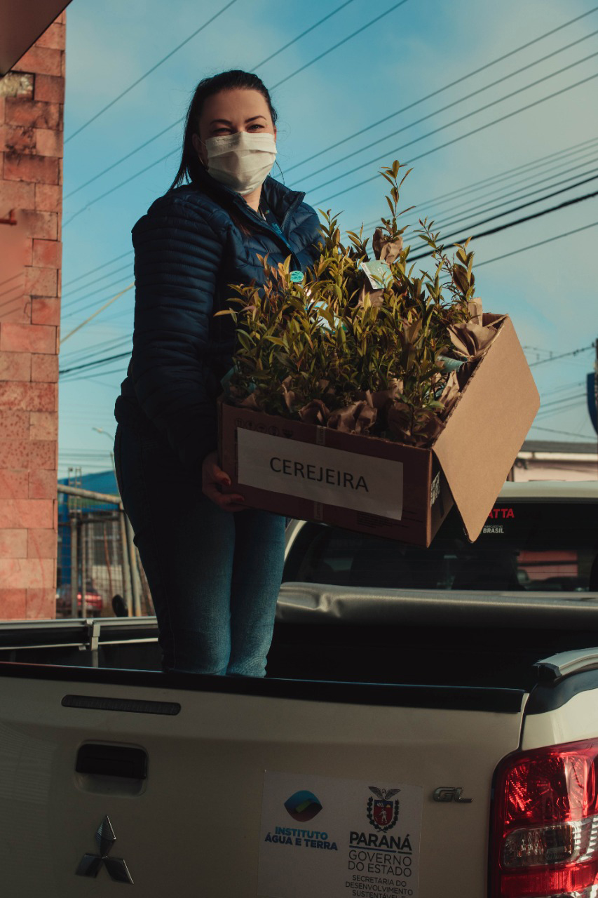 Ação acontece entre os dias 01 e 10 de setembro. Objetivo é incentivar o plantio de mudas de árvores nativas e arrecadar alimentos para ajudar famílias em situação de vulnerabilidade social.  -  curitiba, 30/08/2021  -  Foto: IAT