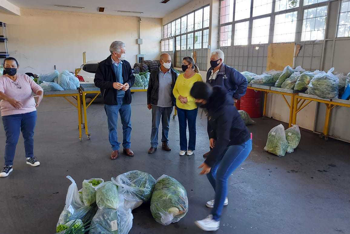 Compra Direta contribui para alimentação saudável e geração de renda no campo em Paranavaí  -  Curitiba, 31/08/2021  -  Foto: SEAB Paranavaí