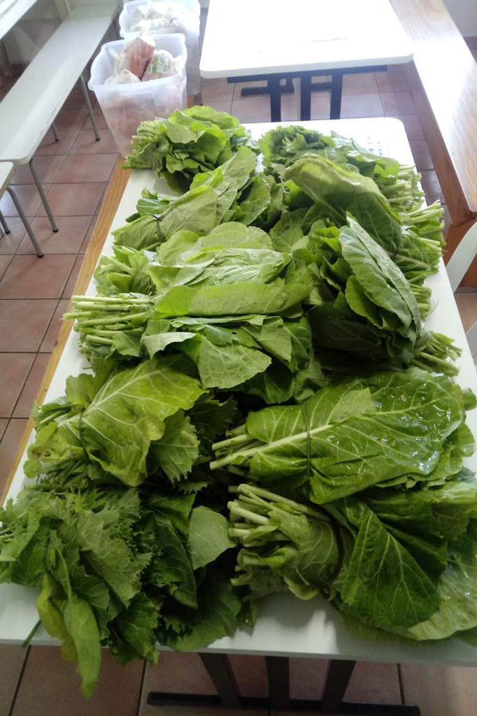 Compra Direta contribui para alimentação saudável e geração de renda no campo em Paranavaí  -  Curitiba, 31/08/2021  -  Foto: SEAB Paranavaí