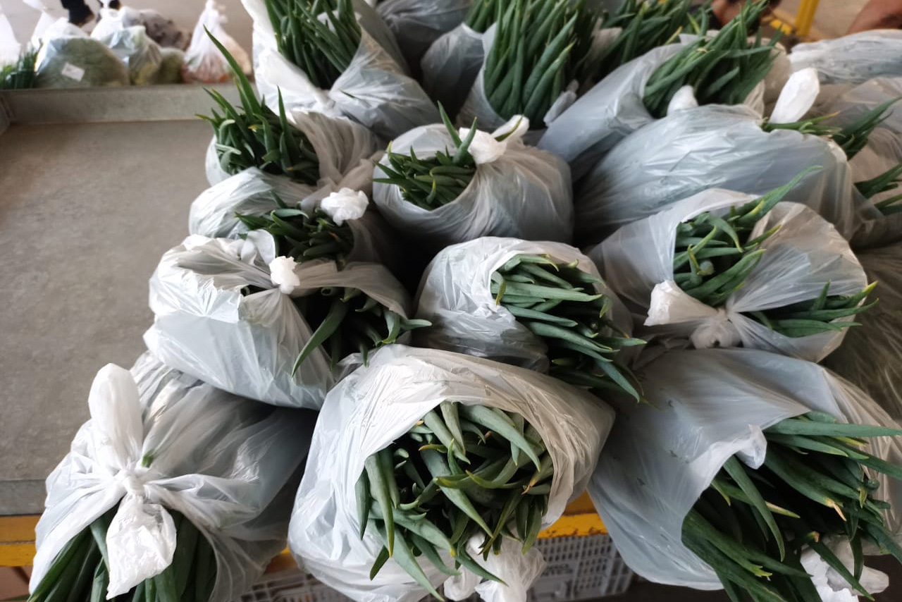 Compra Direta contribui para alimentação saudável e geração de renda no campo em Paranavaí  -  Curitiba, 31/08/2021  -  Foto: SEAB Paranavaí