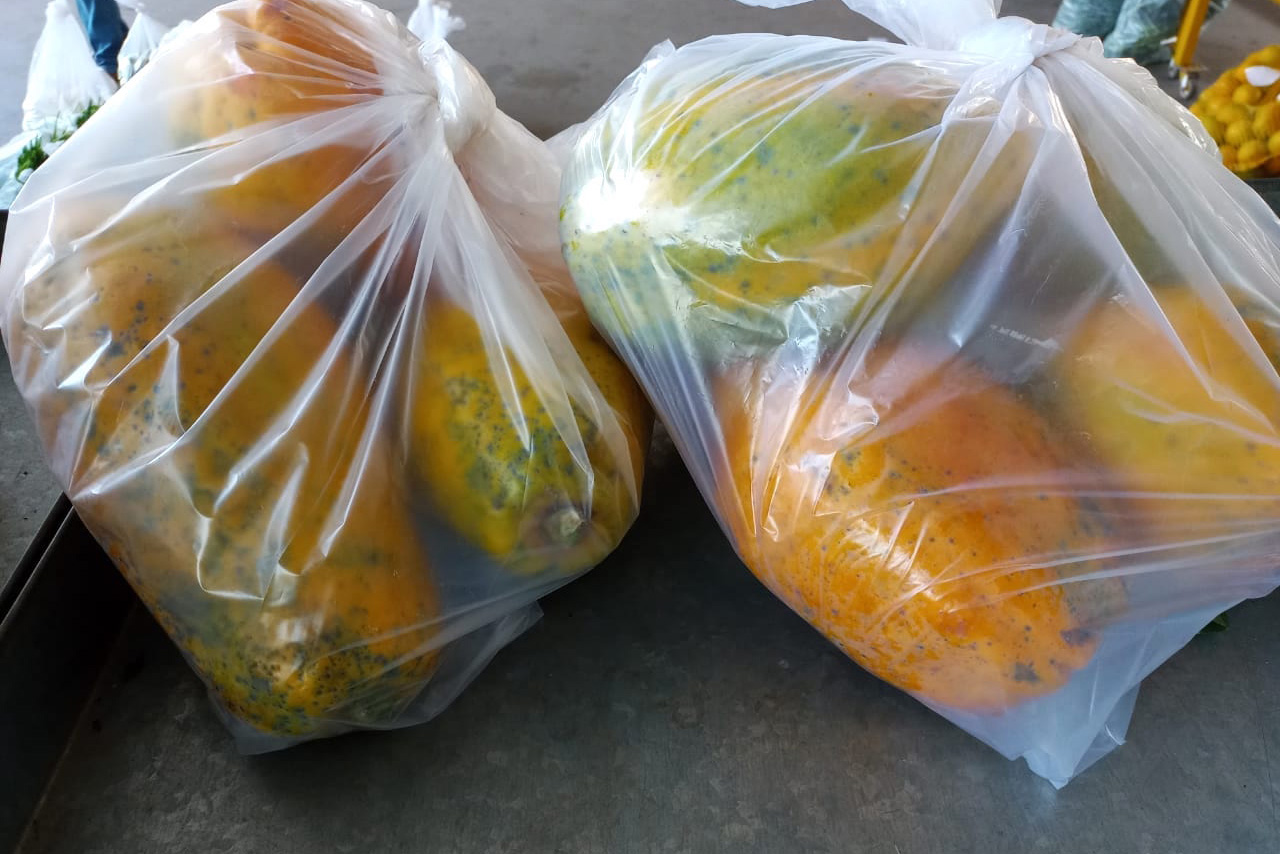 Compra Direta contribui para alimentação saudável e geração de renda no campo em Paranavaí  -  Curitiba, 31/08/2021  -  Foto: SEAB Paranavaí