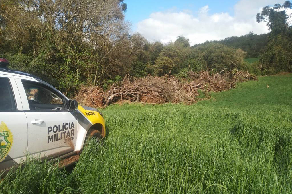 Policiais e agentes do IAT aplicam mais de R$ 1 milhão de multas e quatro pessoas são presas durante a Operação Nascente Viva  -  Curitiba, 31/08/2021  -  Foto: PMPR