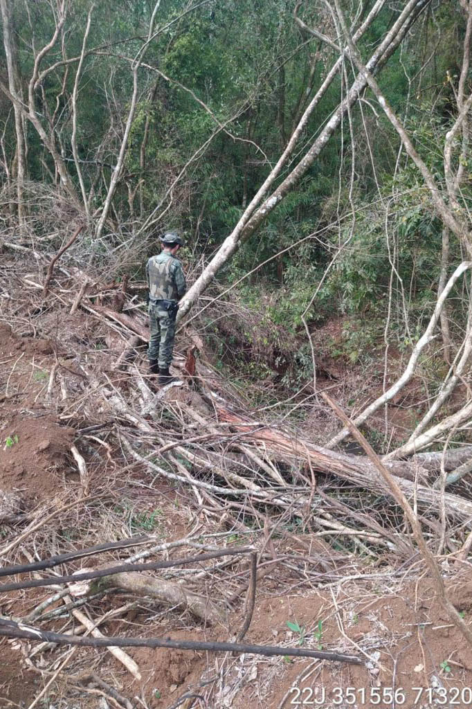 Policiais e agentes do IAT aplicam mais de R$ 1 milhão de multas e quatro pessoas são presas durante a Operação Nascente Viva  -  Curitiba, 31/08/2021  -  Foto: PMPR